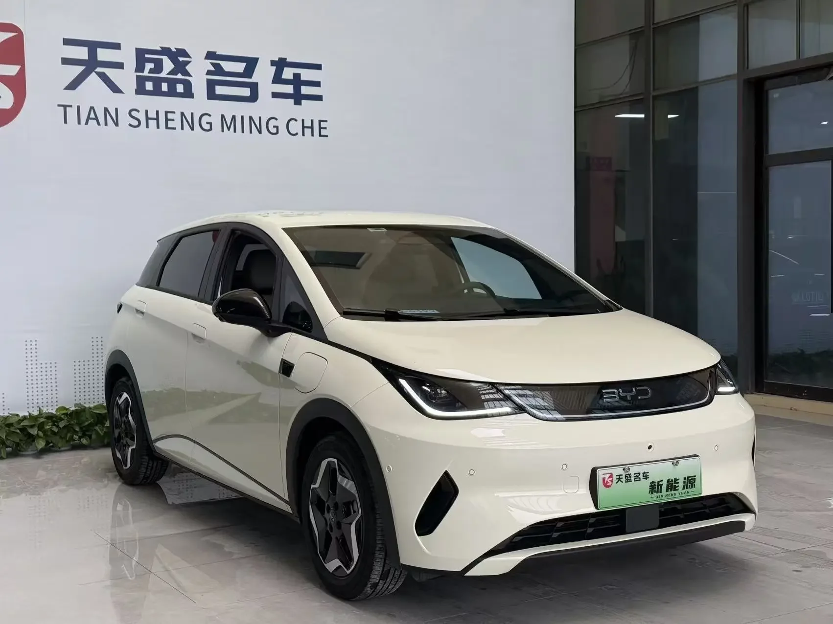 BYD dolphin