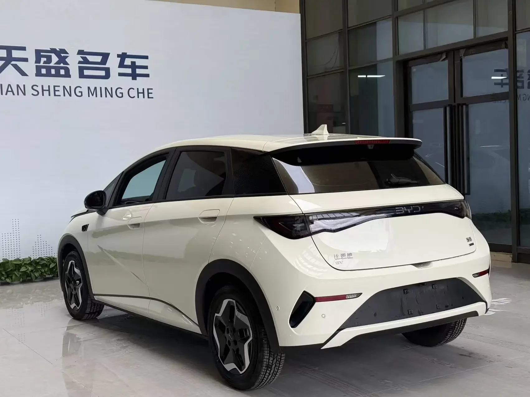 BYD dolphin