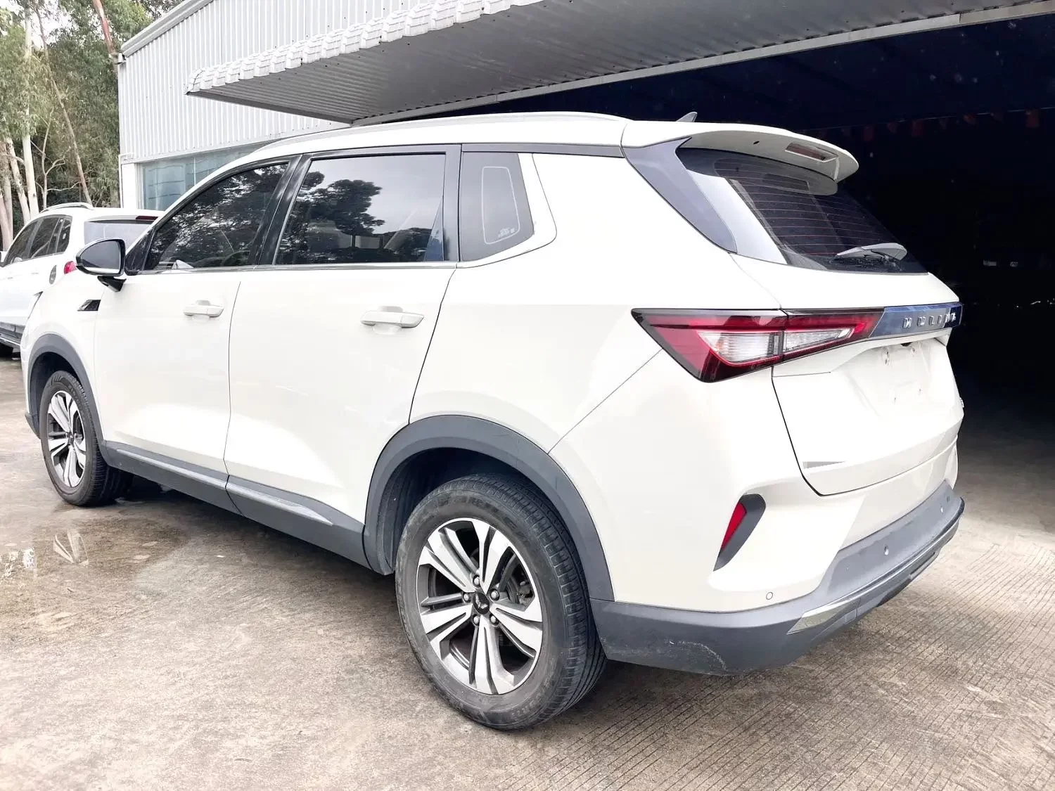 Wuling Star
