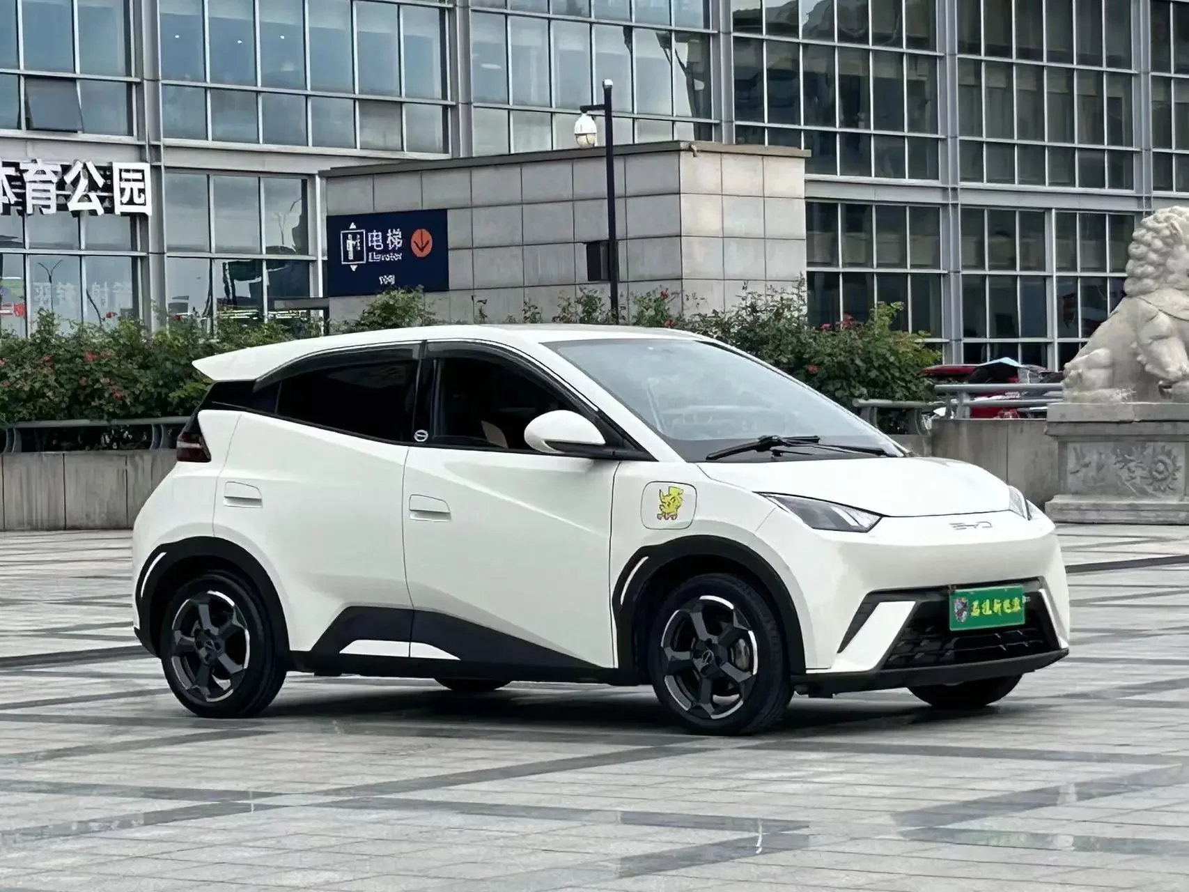 BYD seagull