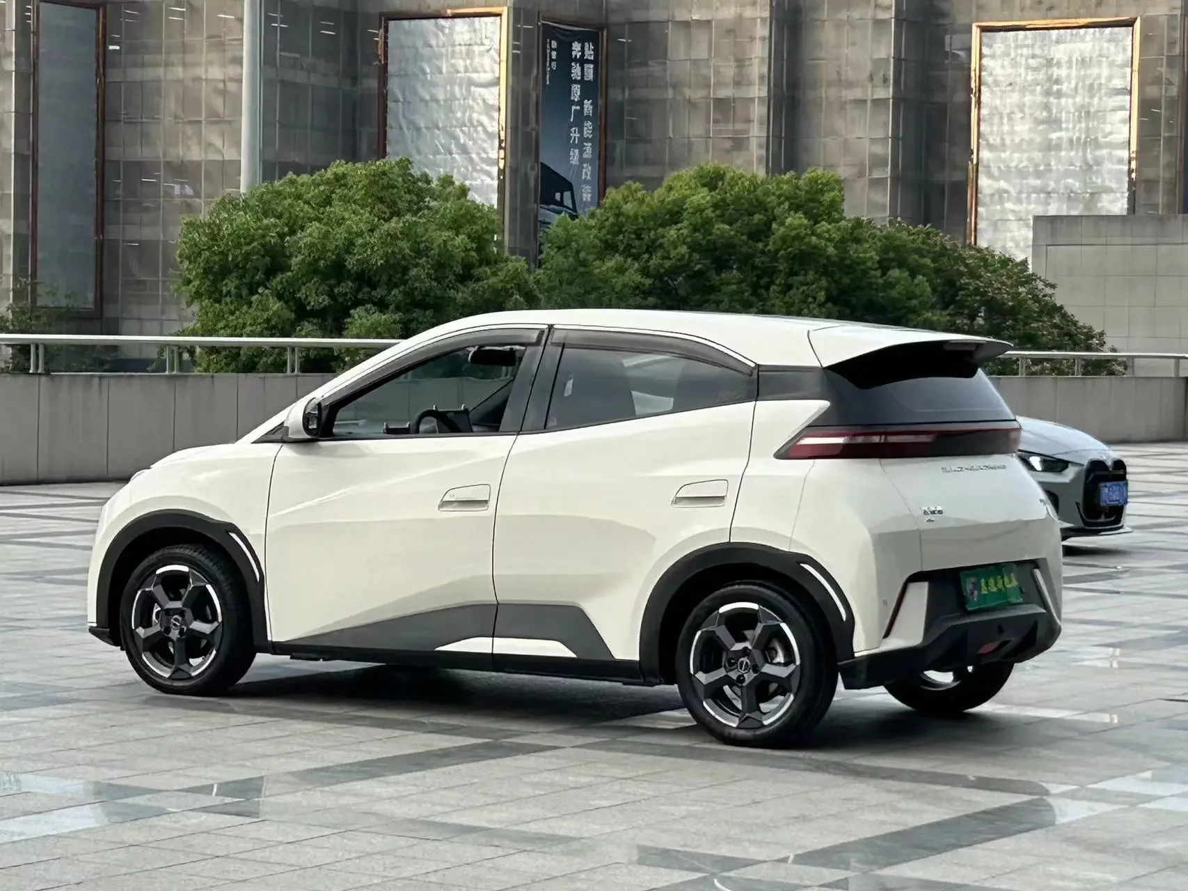 BYD seagull