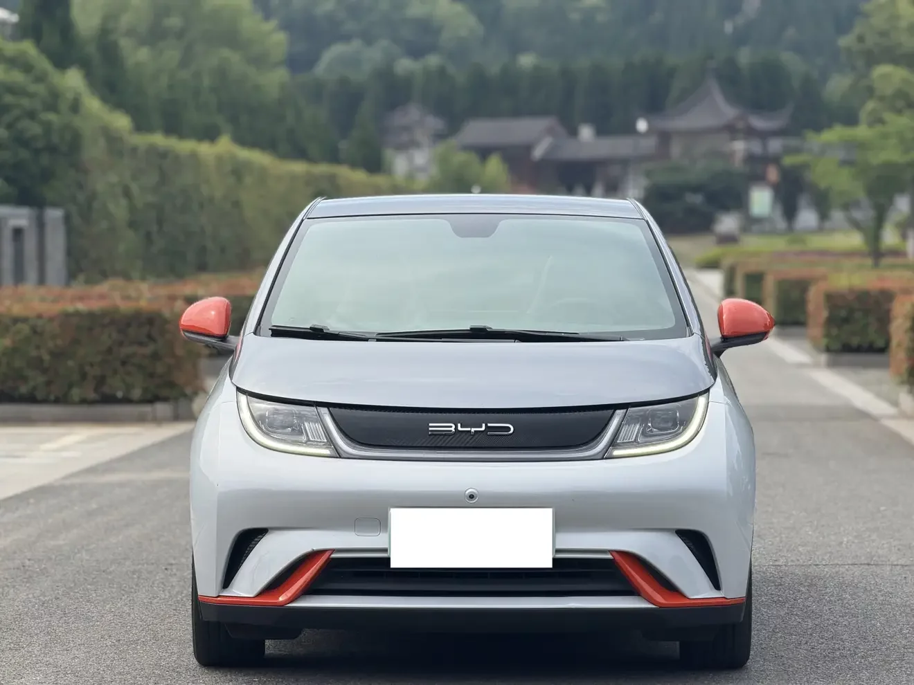 BYD dolphin