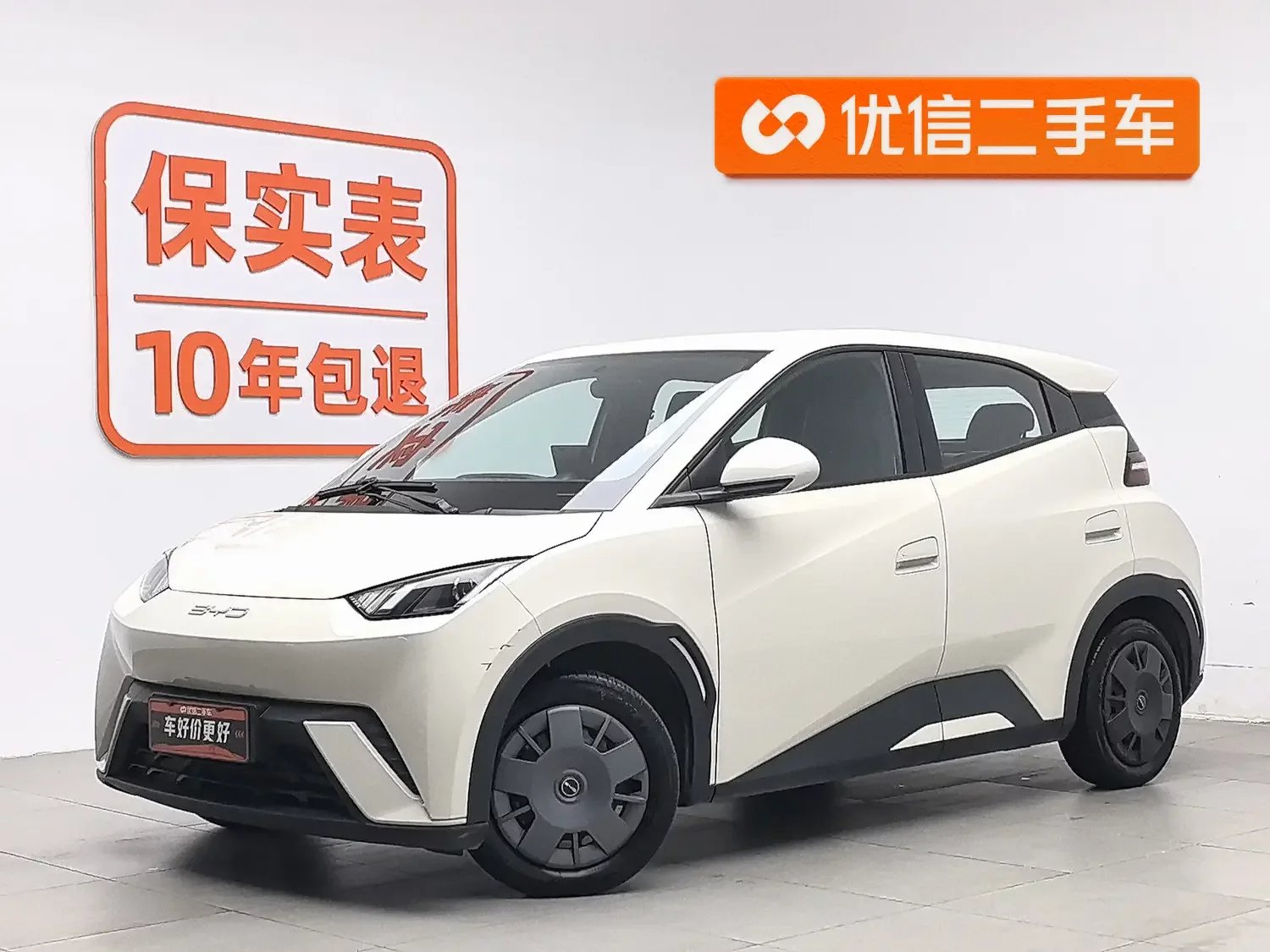 BYD seagull