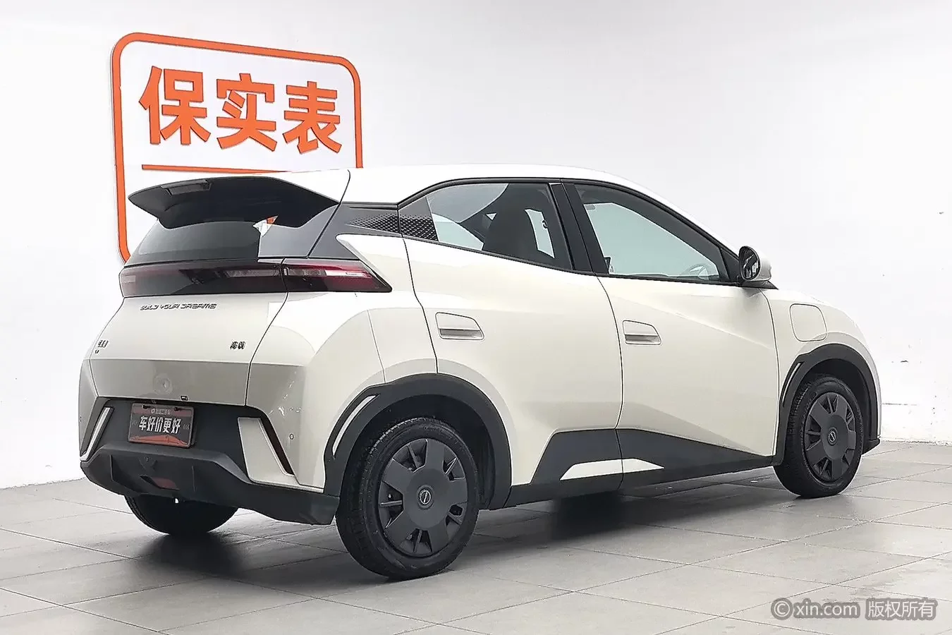 BYD seagull