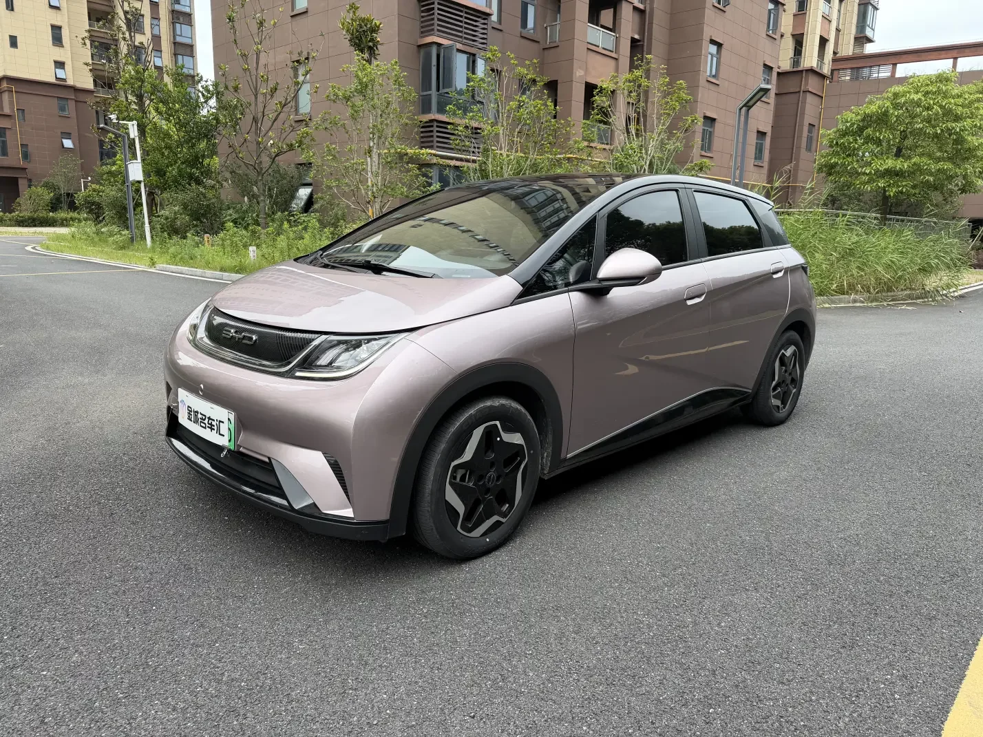 BYD dolphin