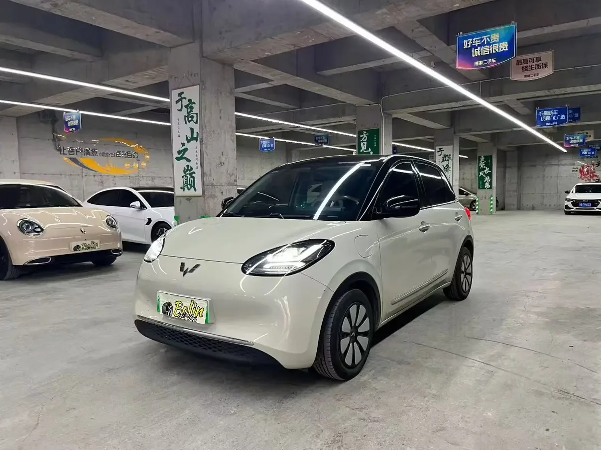 Wuling Bingo