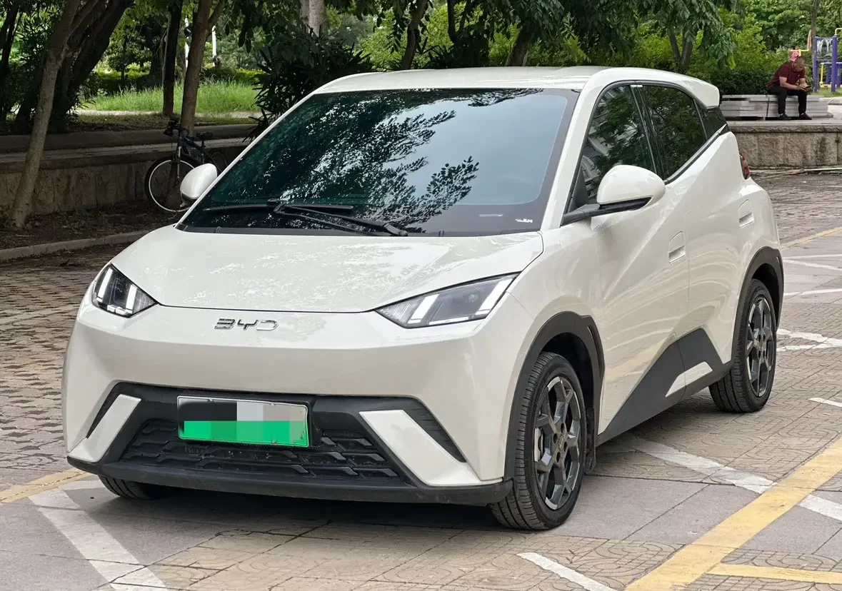 BYD seagull