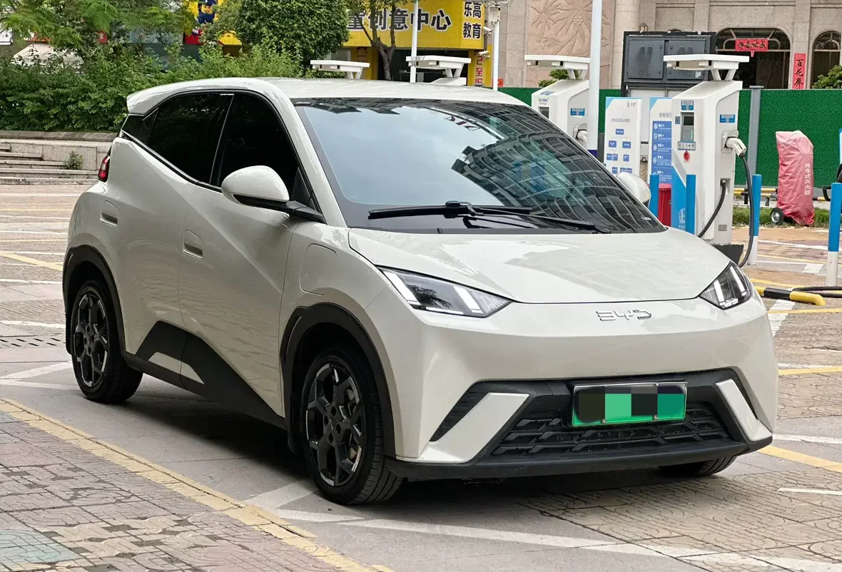 BYD seagull