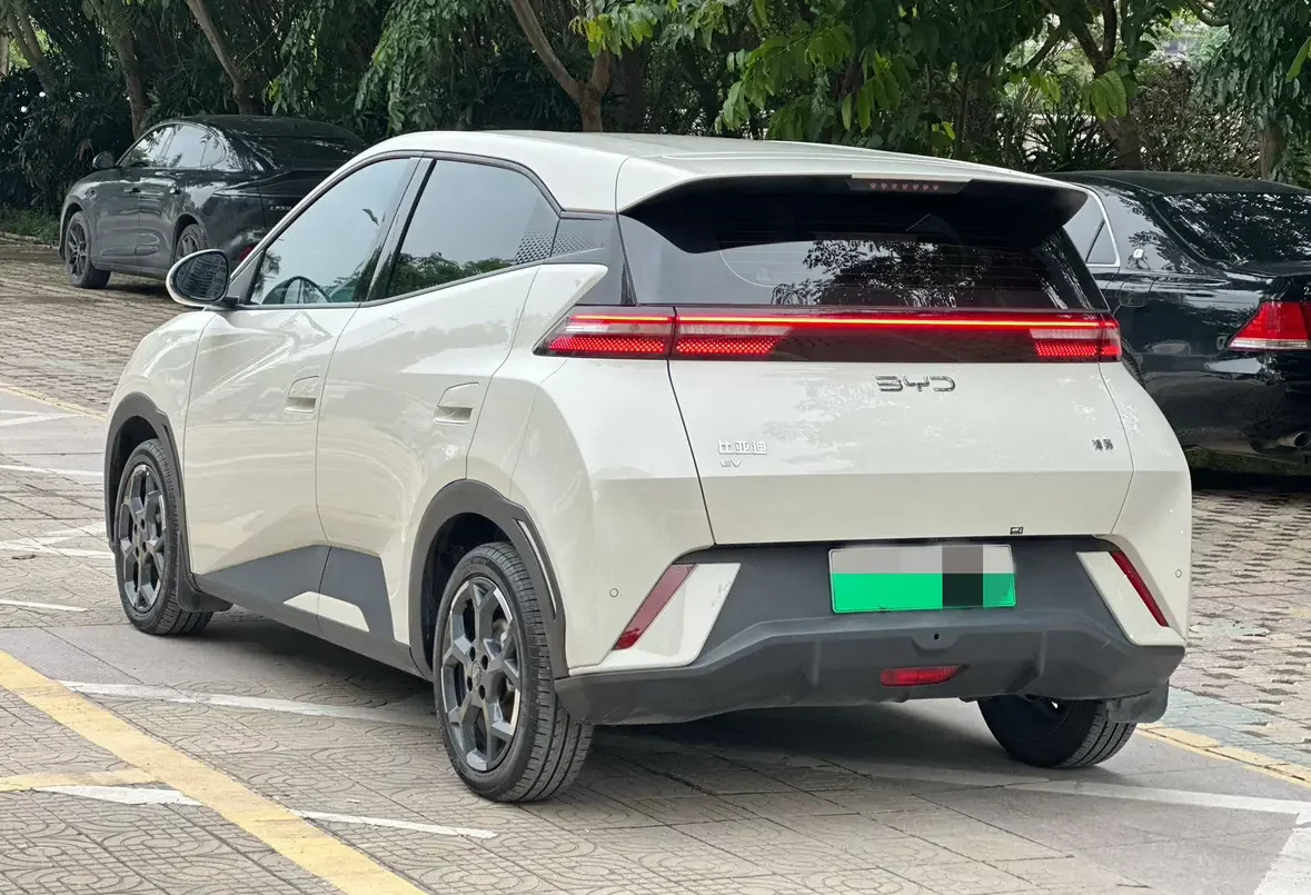 BYD seagull
