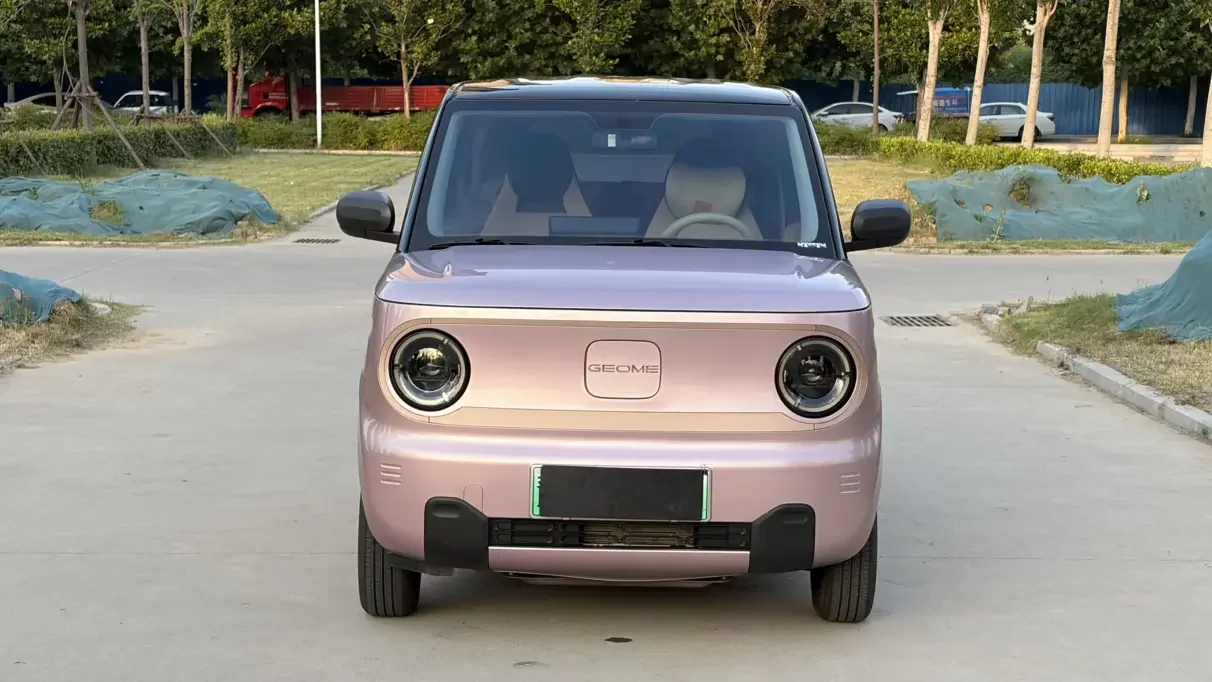Geely panda