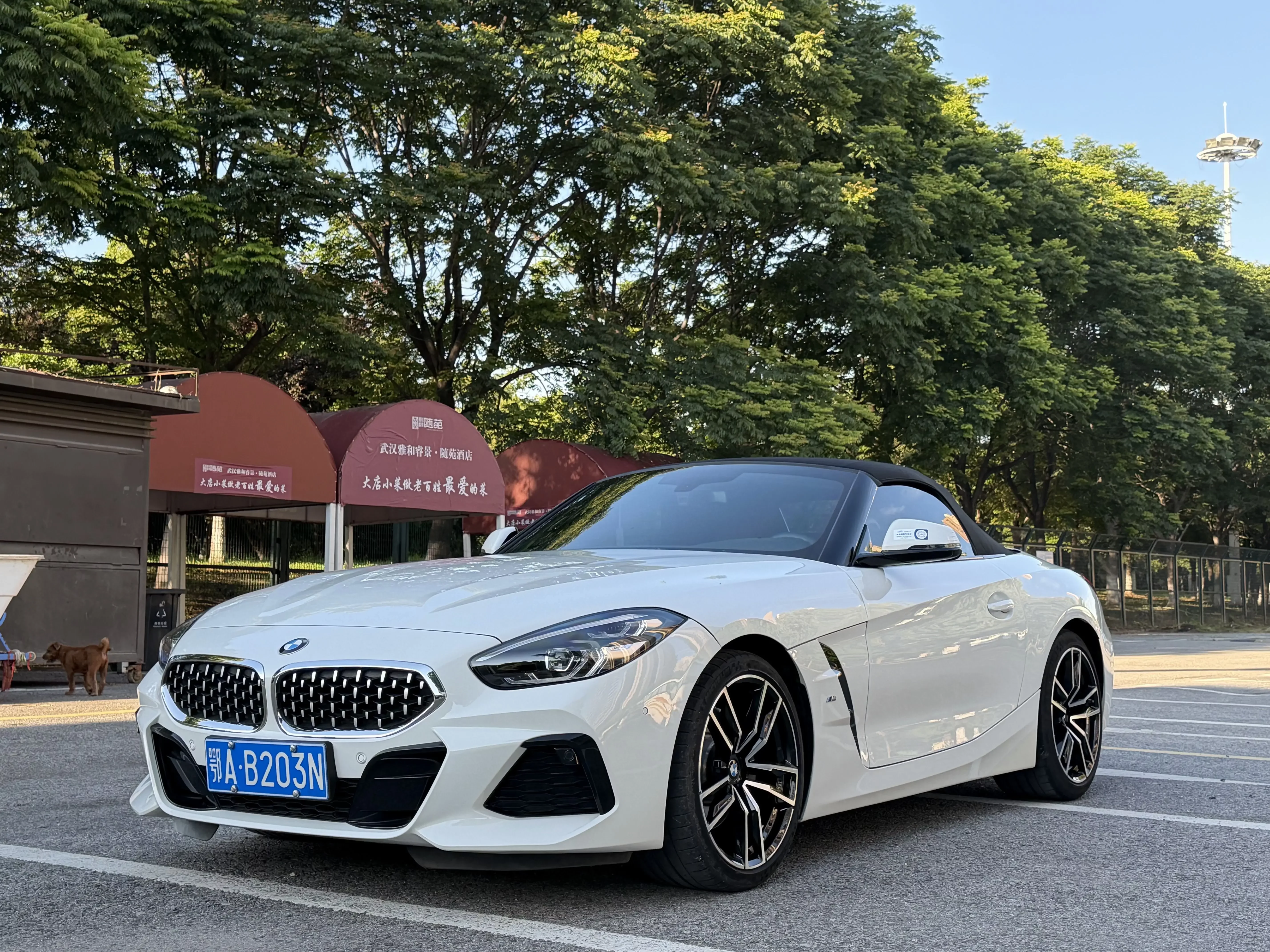 BMW Z4