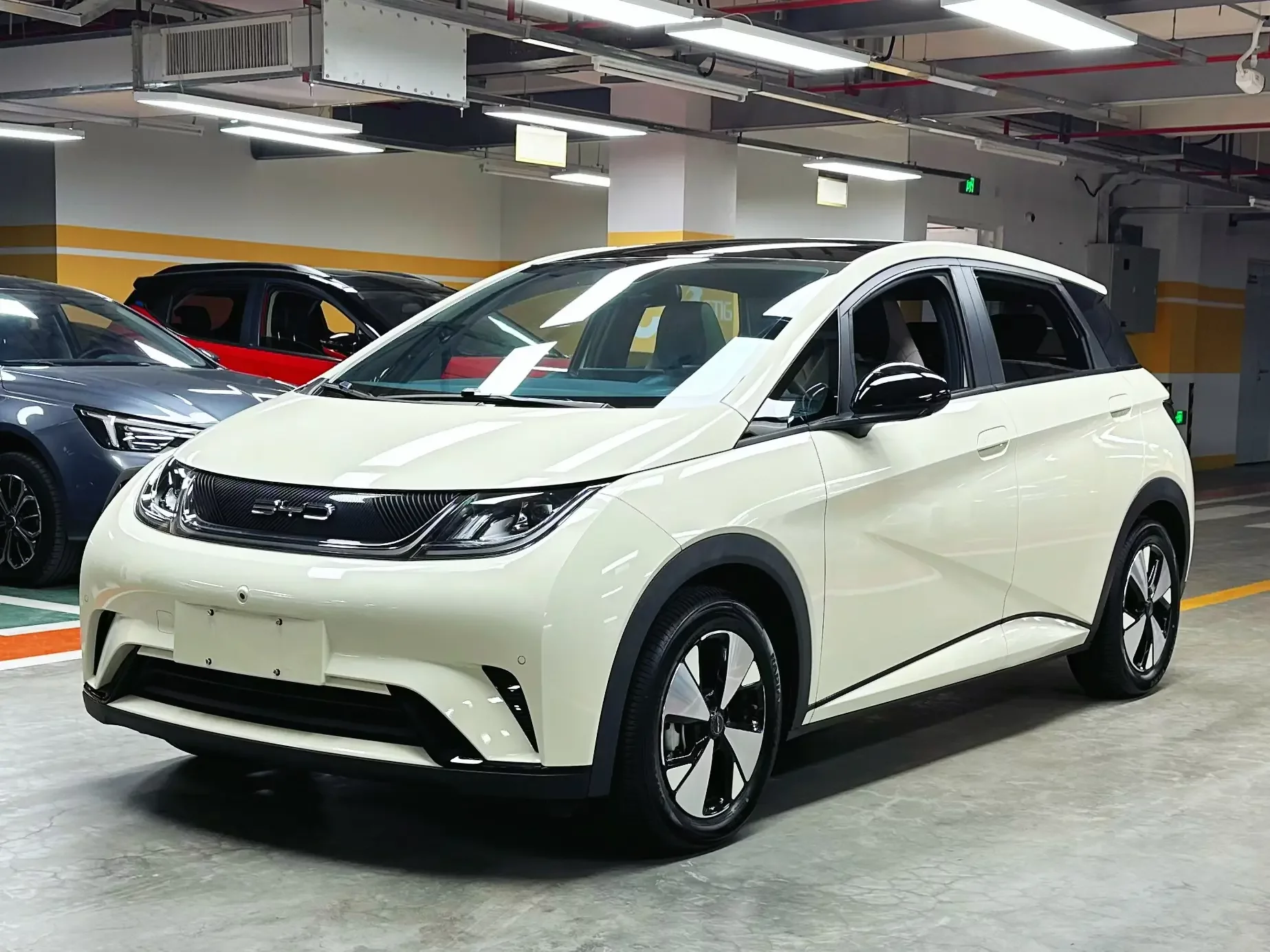 BYD dolphin