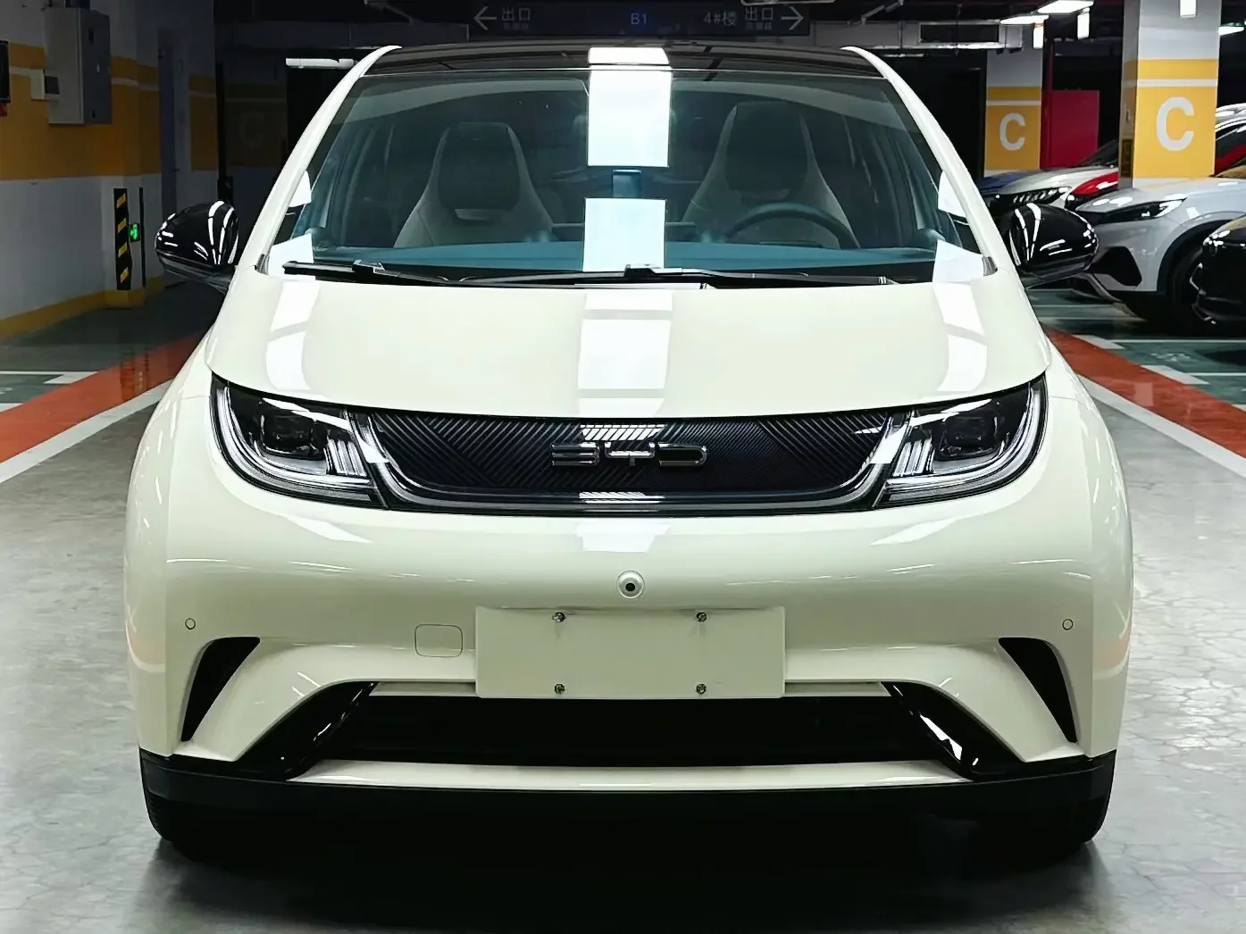 BYD dolphin