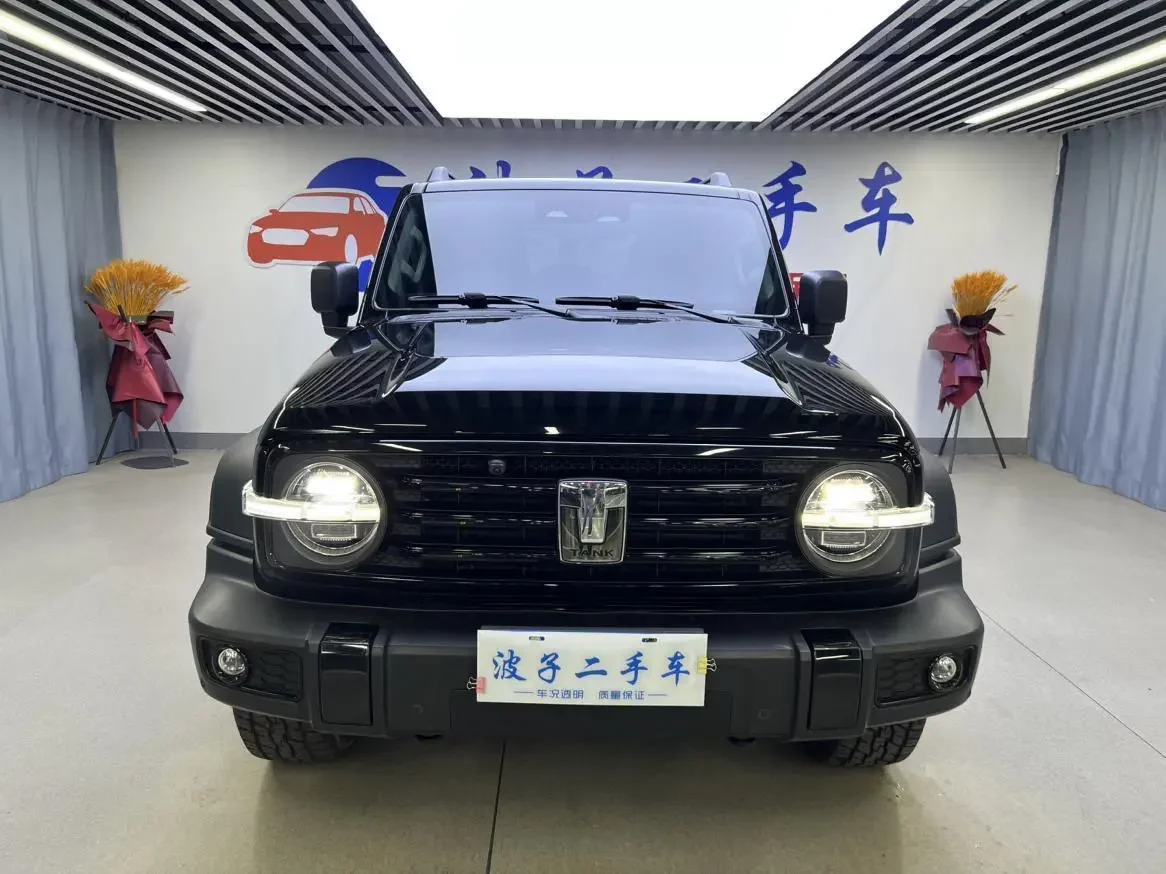 Tank 300