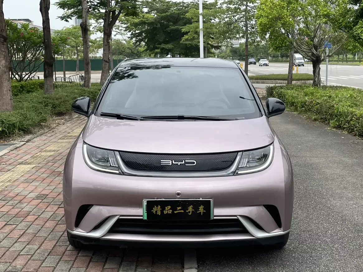 BYD dolphin