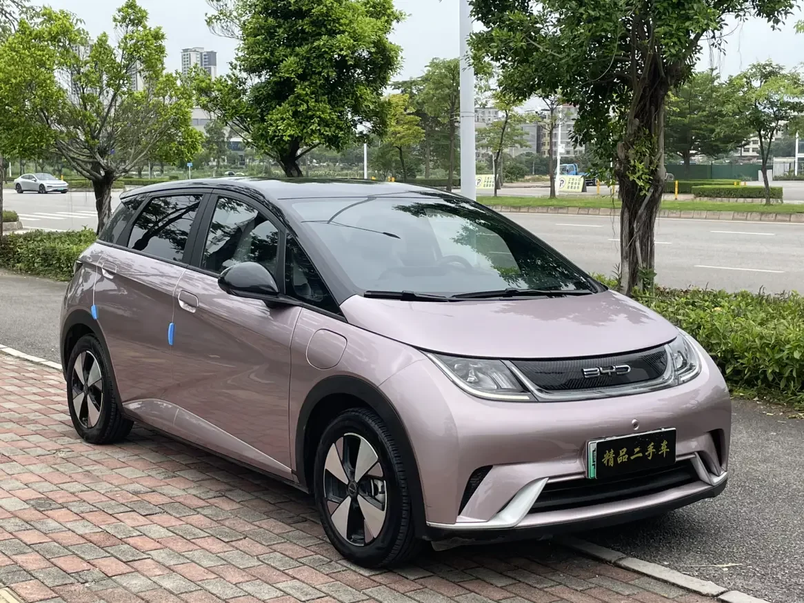 BYD dolphin