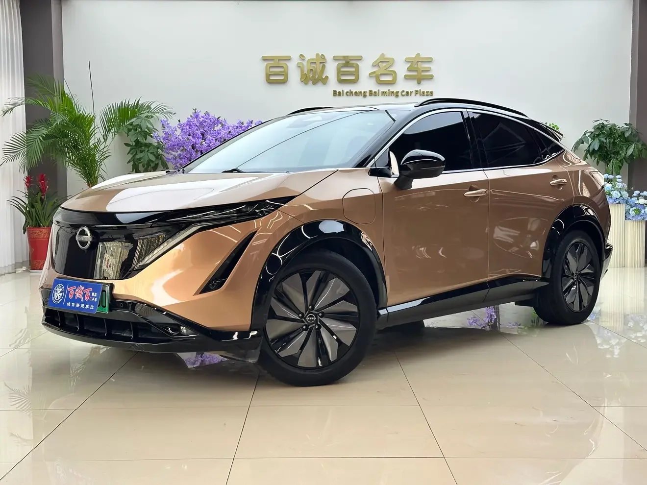 Nissan ARIYA