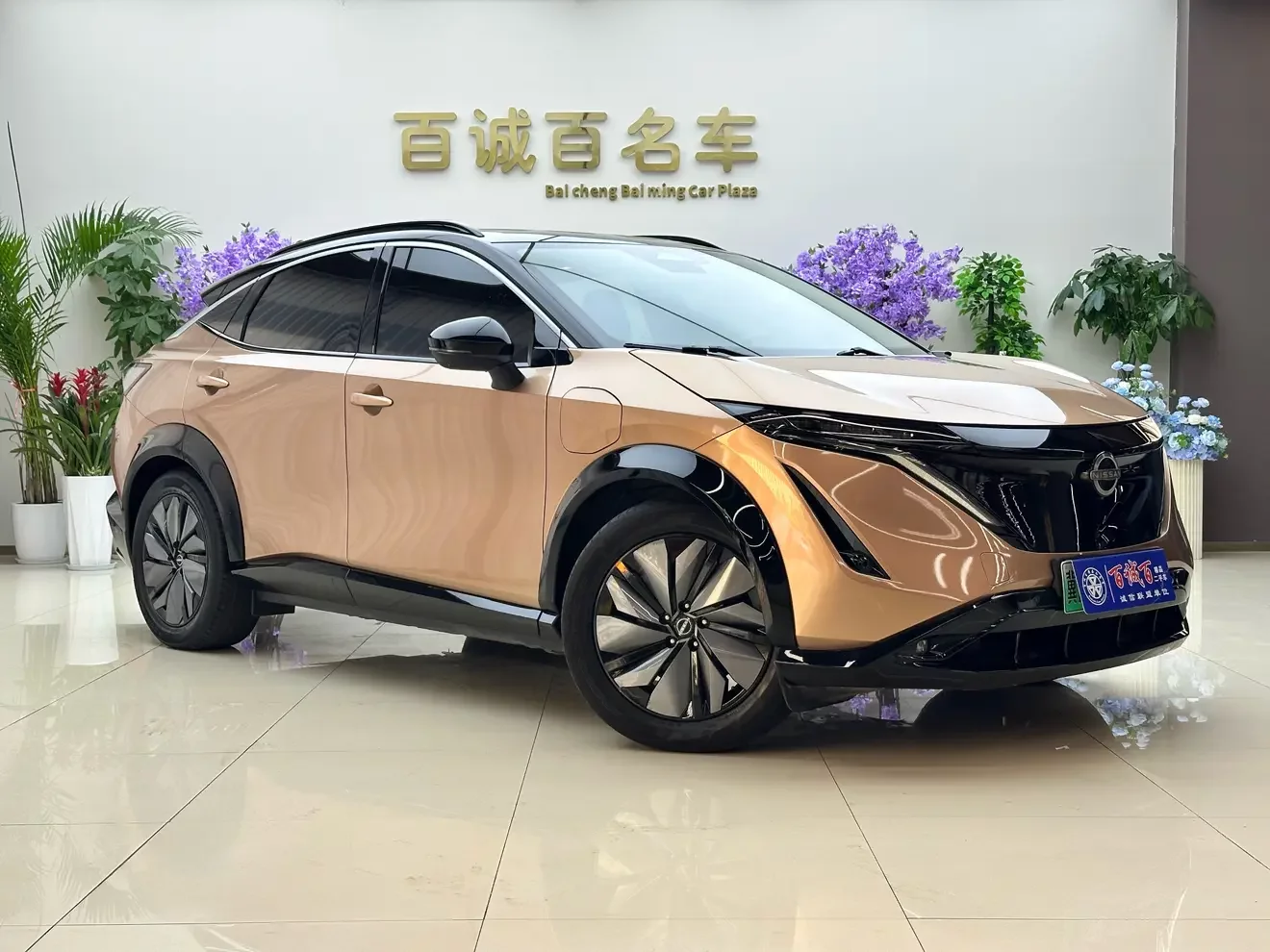 Nissan ARIYA