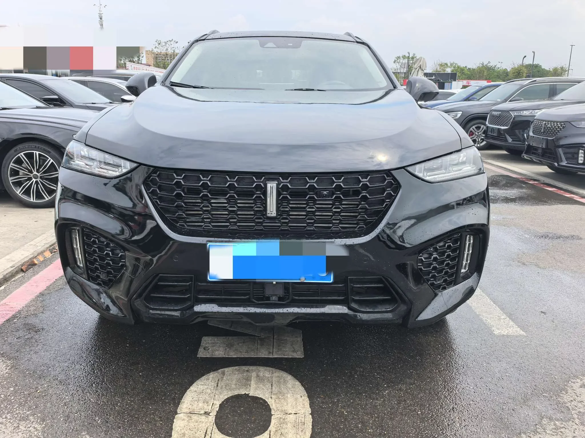 Wey Wei brand VV7