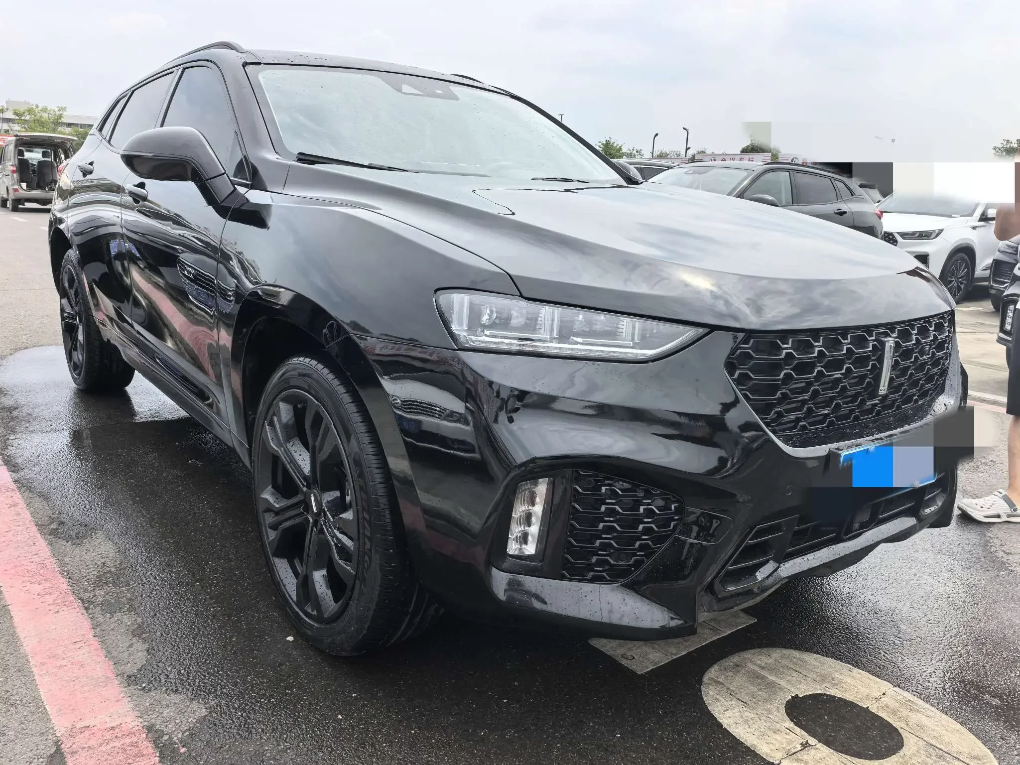Wey Wei brand VV7