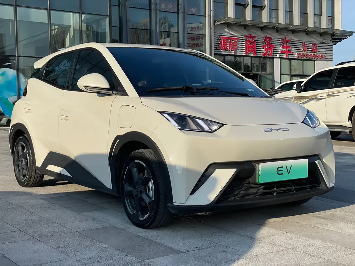 BYD seagull