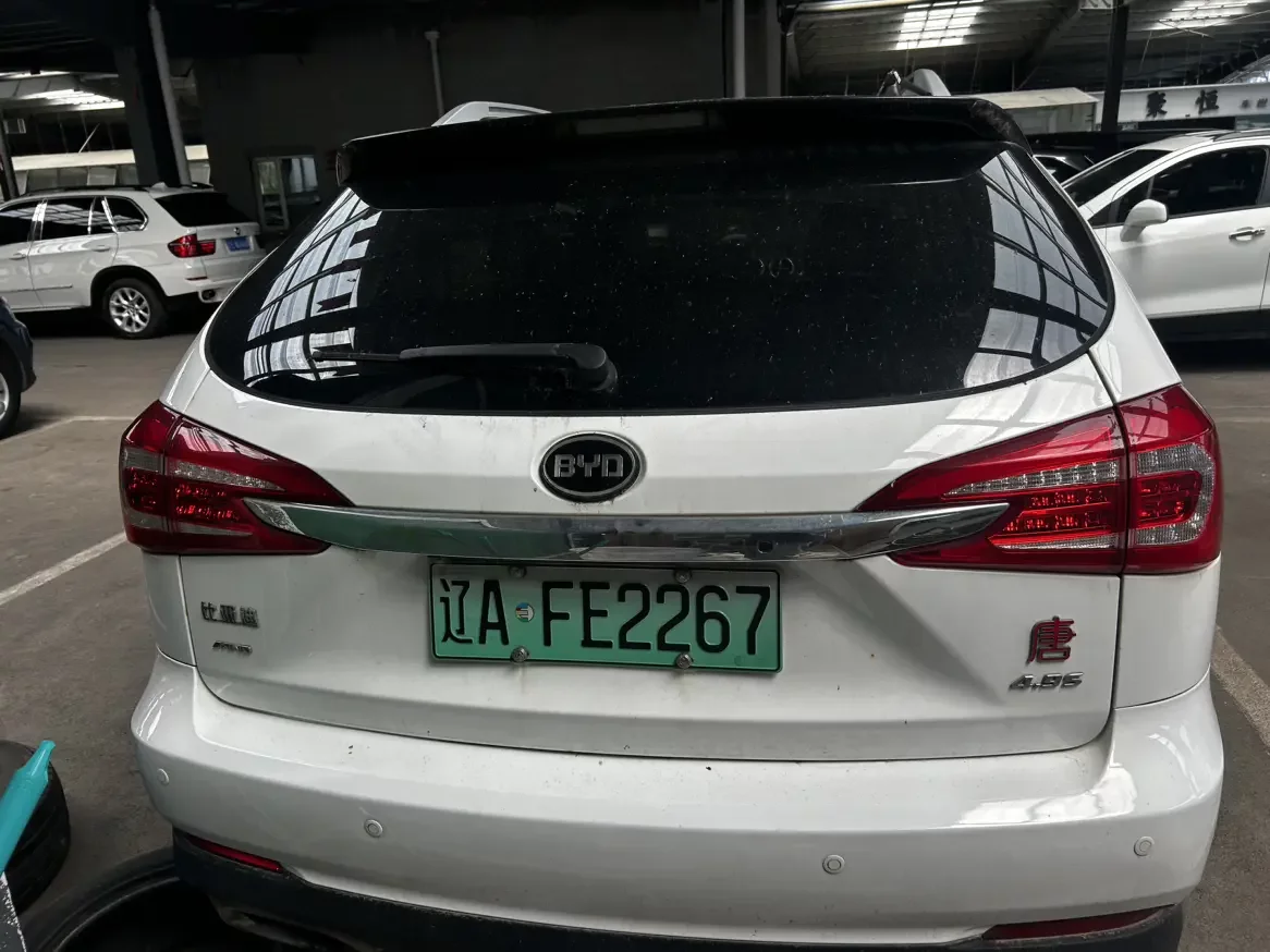 BYD Tang DM