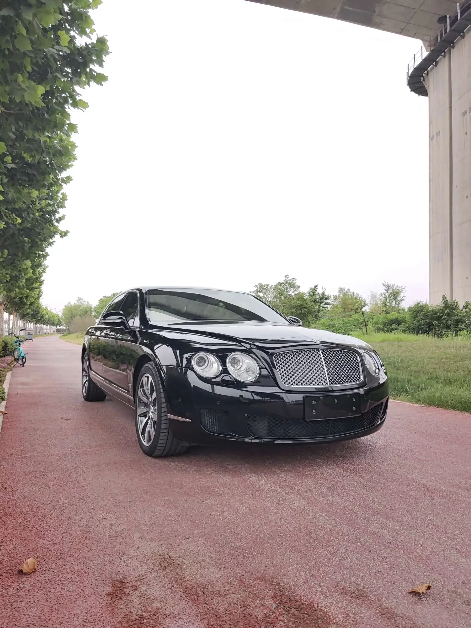 Bentley galloping