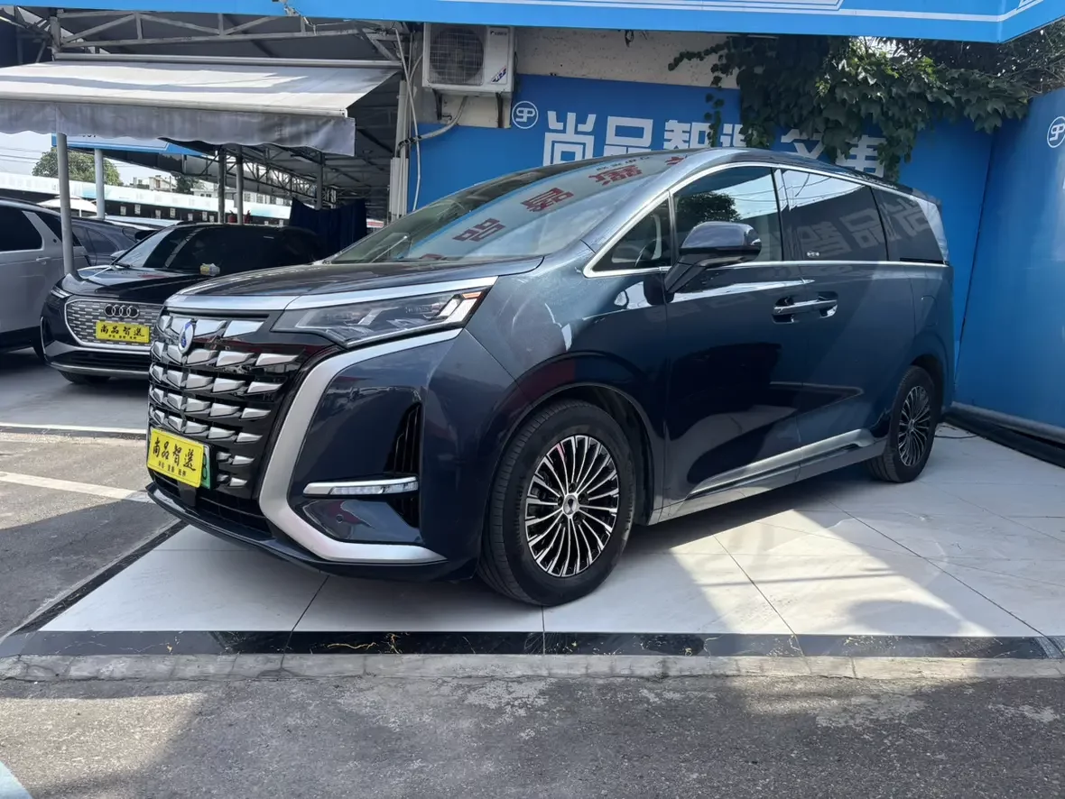 Denza D9 DM