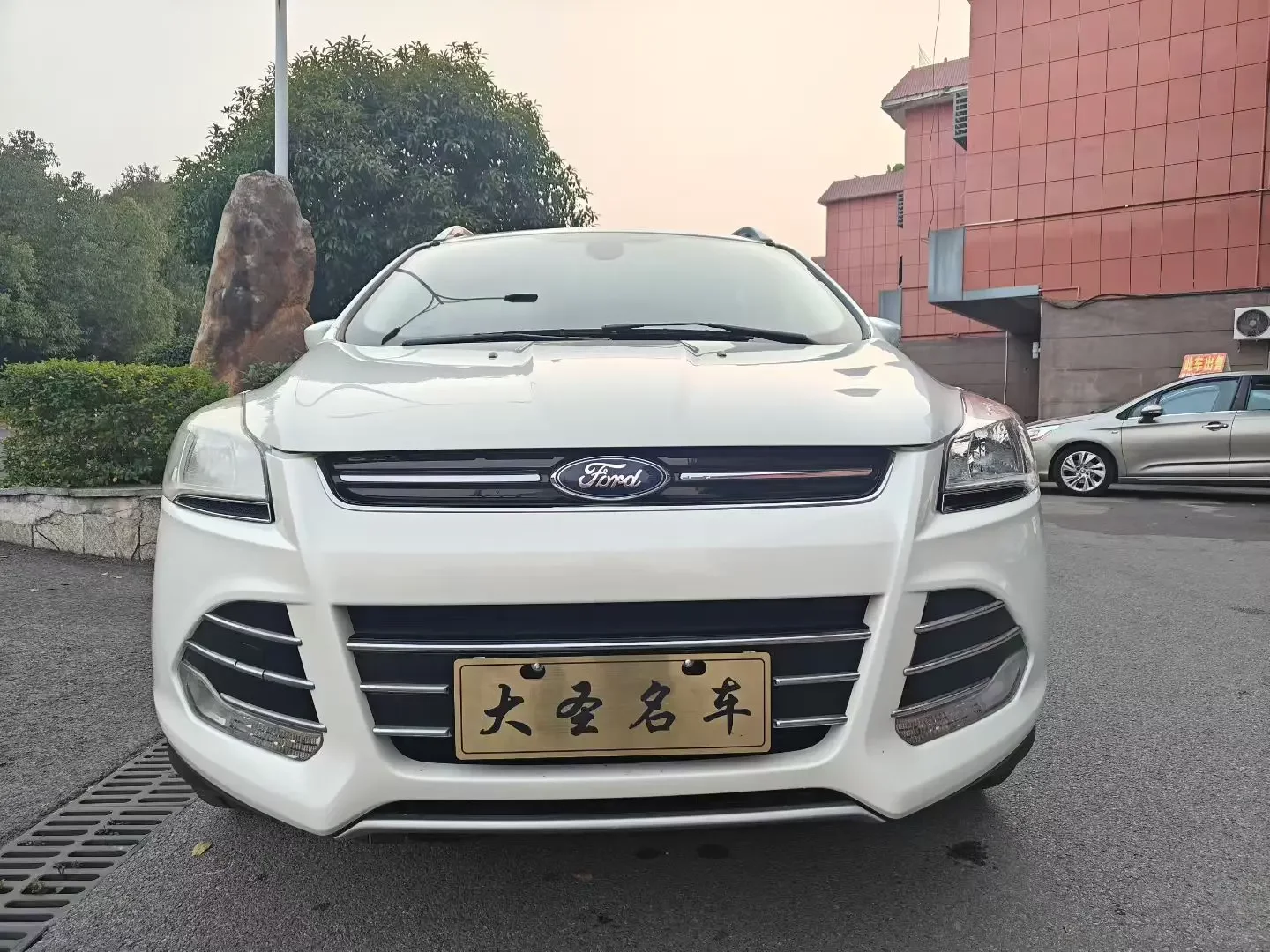 Ford wing tiger