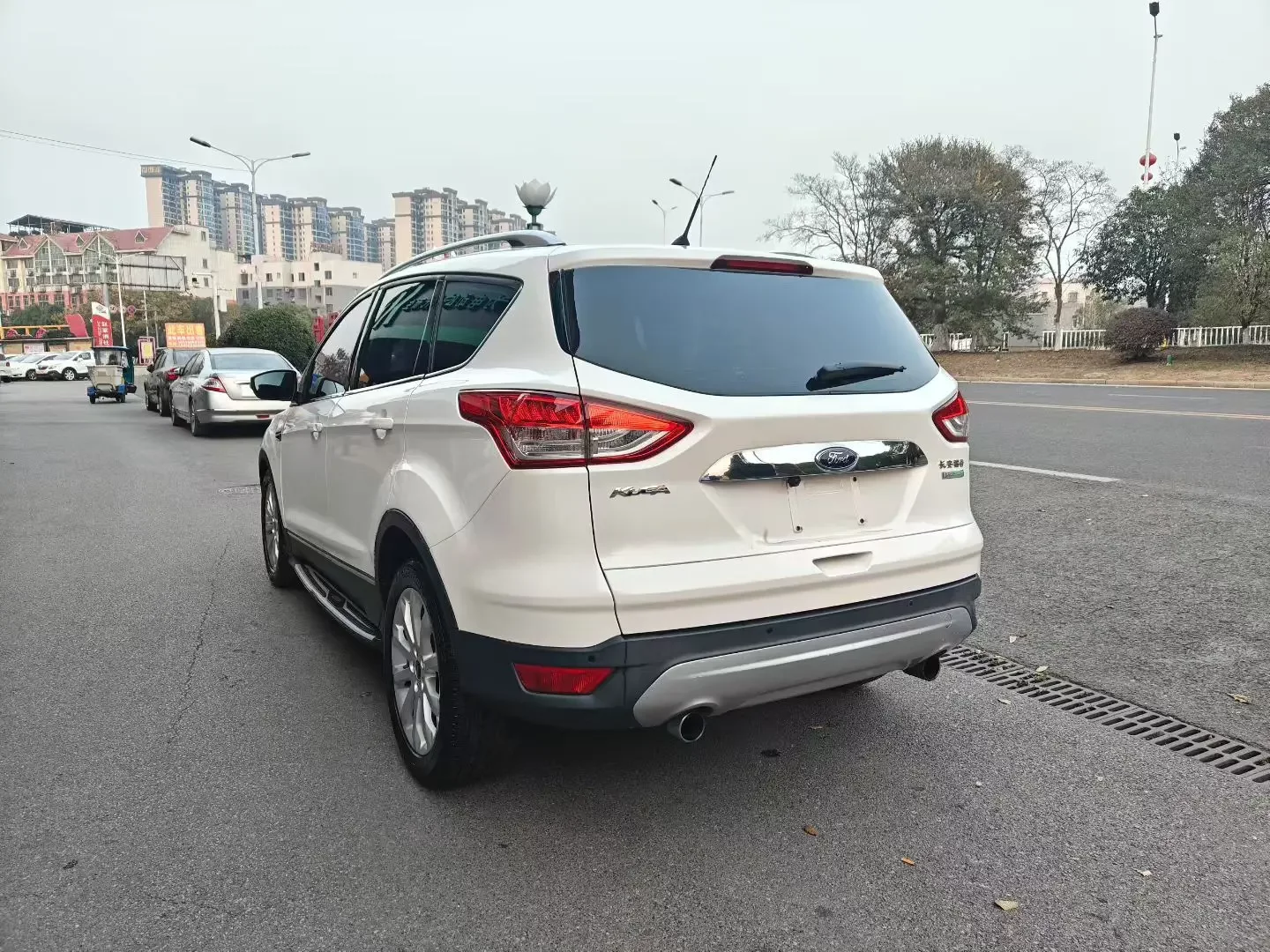 Ford wing tiger