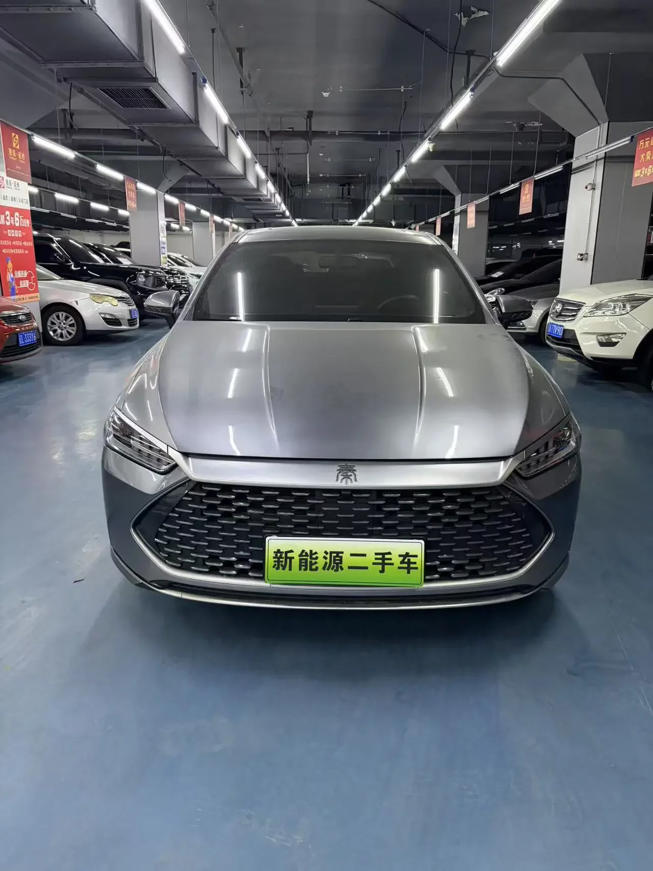 BYD Qin PLUS DM