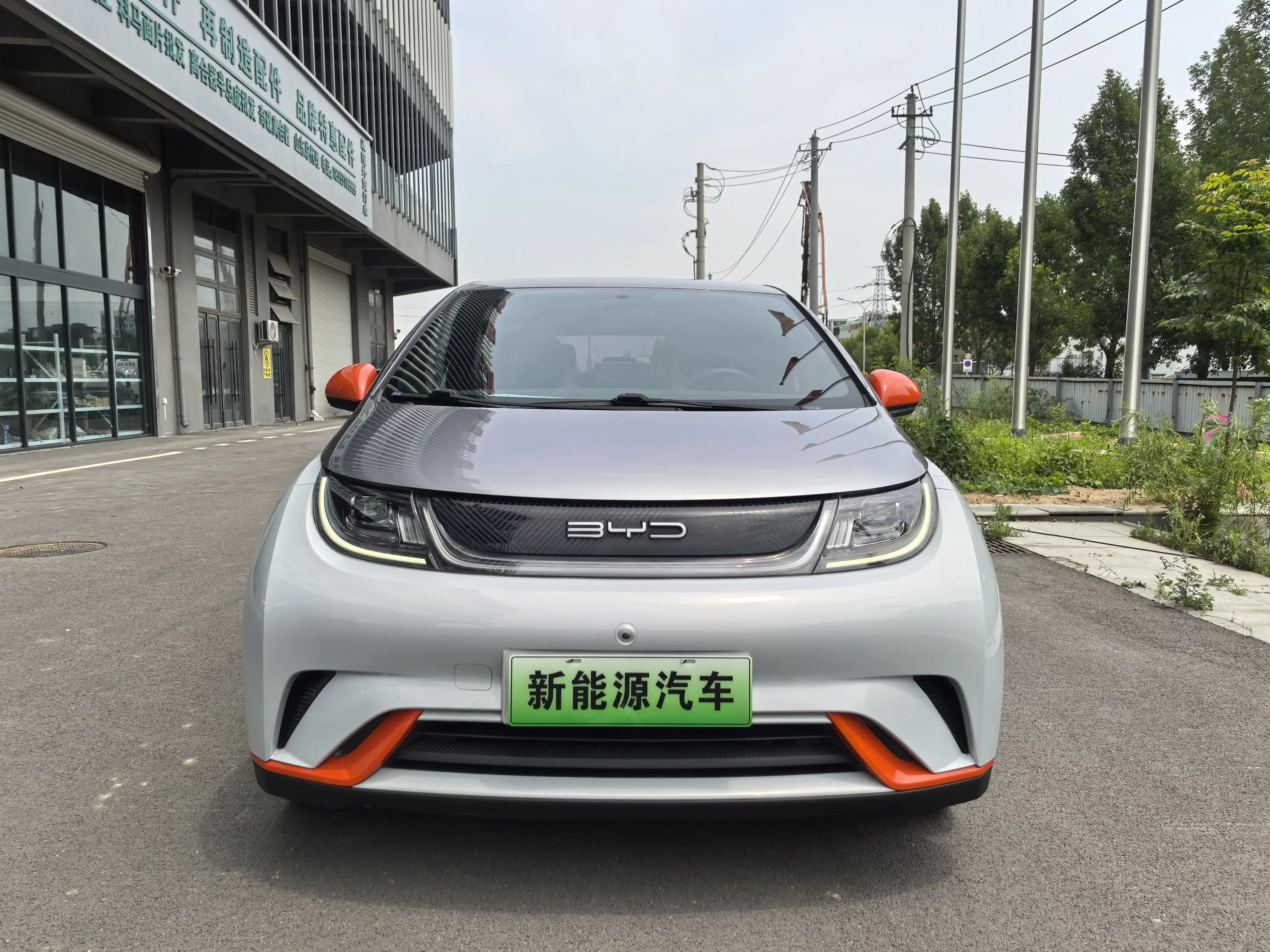 BYD dolphin