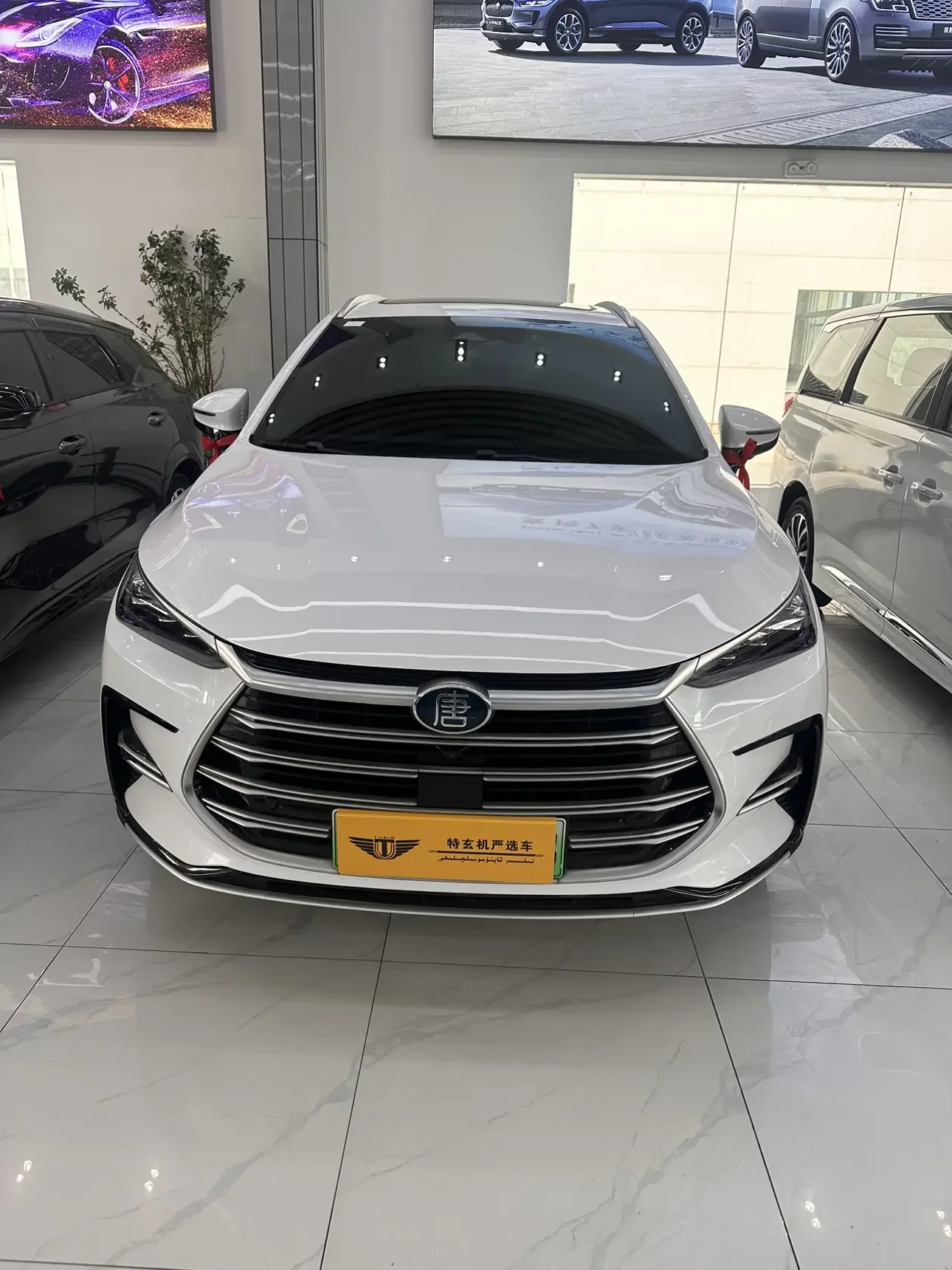 BYD Tang DM