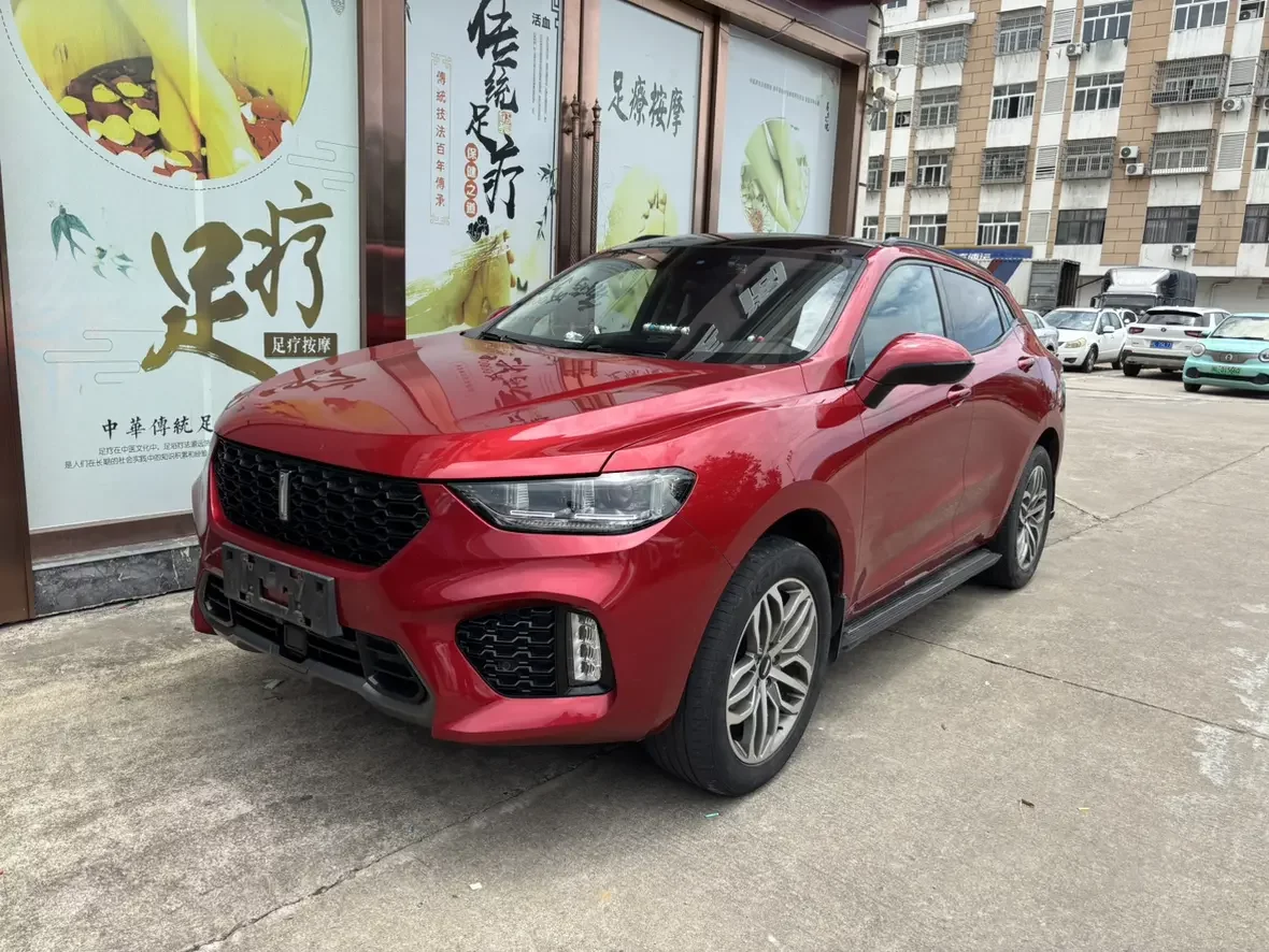 Wey Wei brand VV5