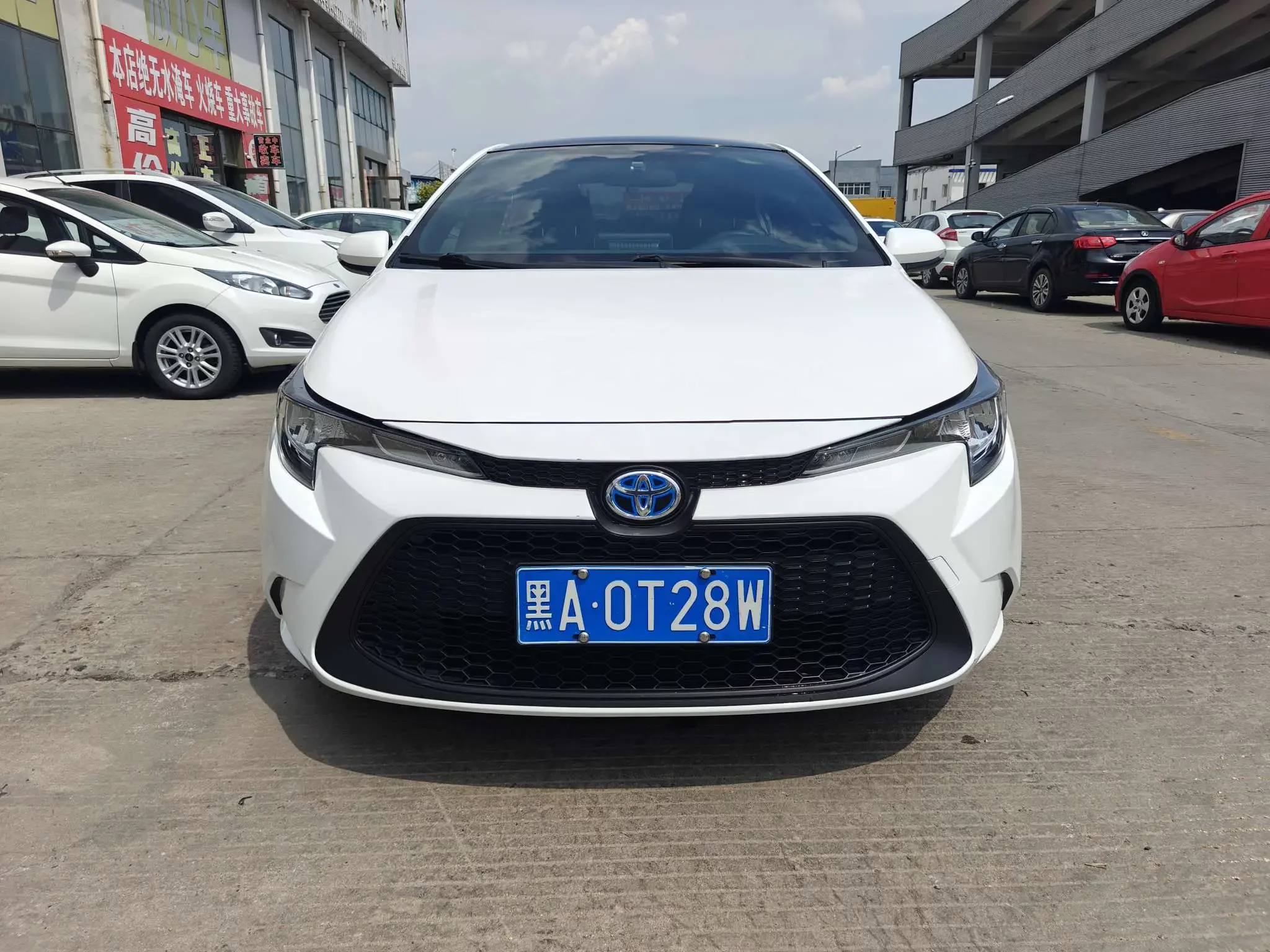 Toyota Levin