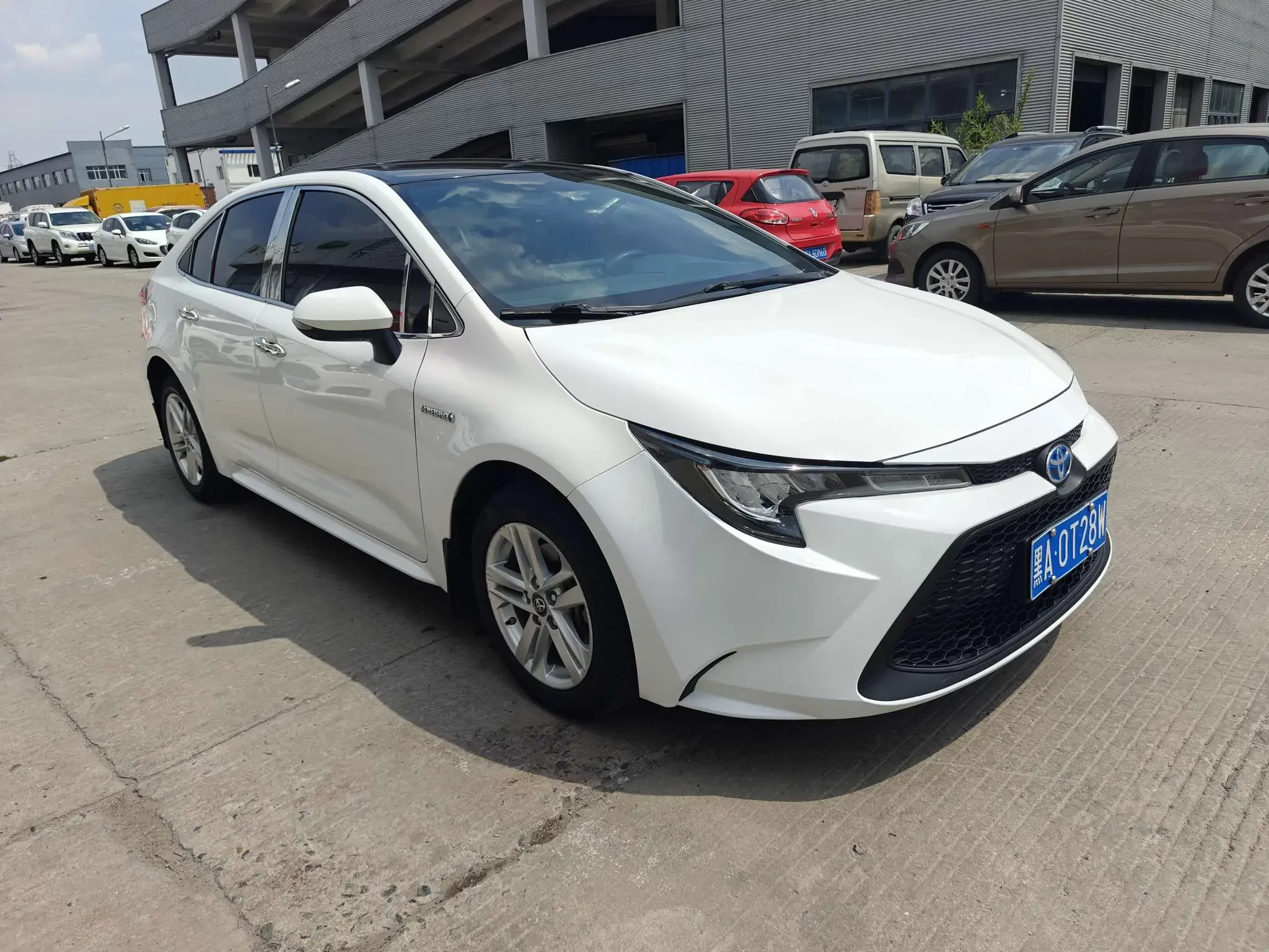 Toyota Levin
