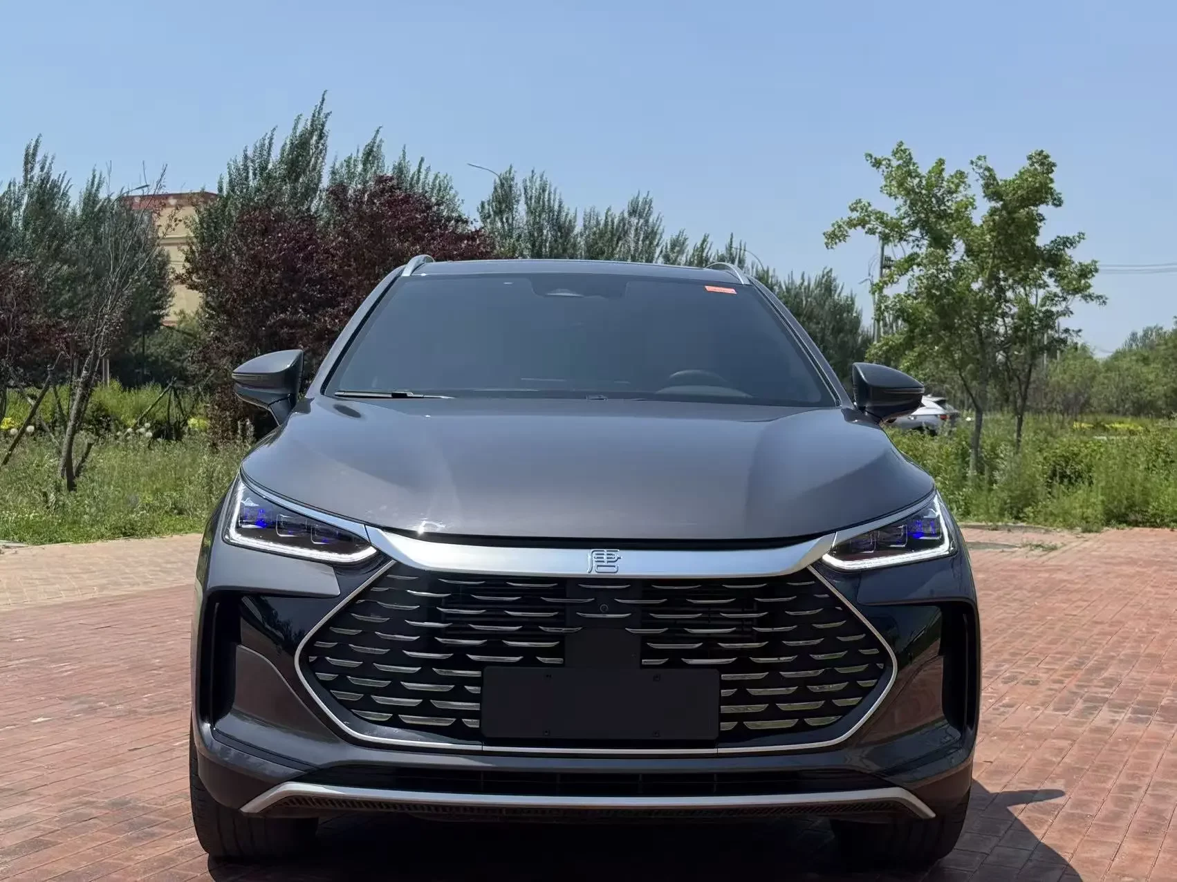 BYD Tang DM