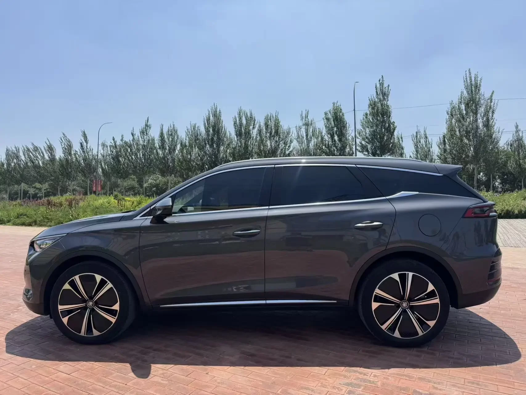 BYD Tang DM