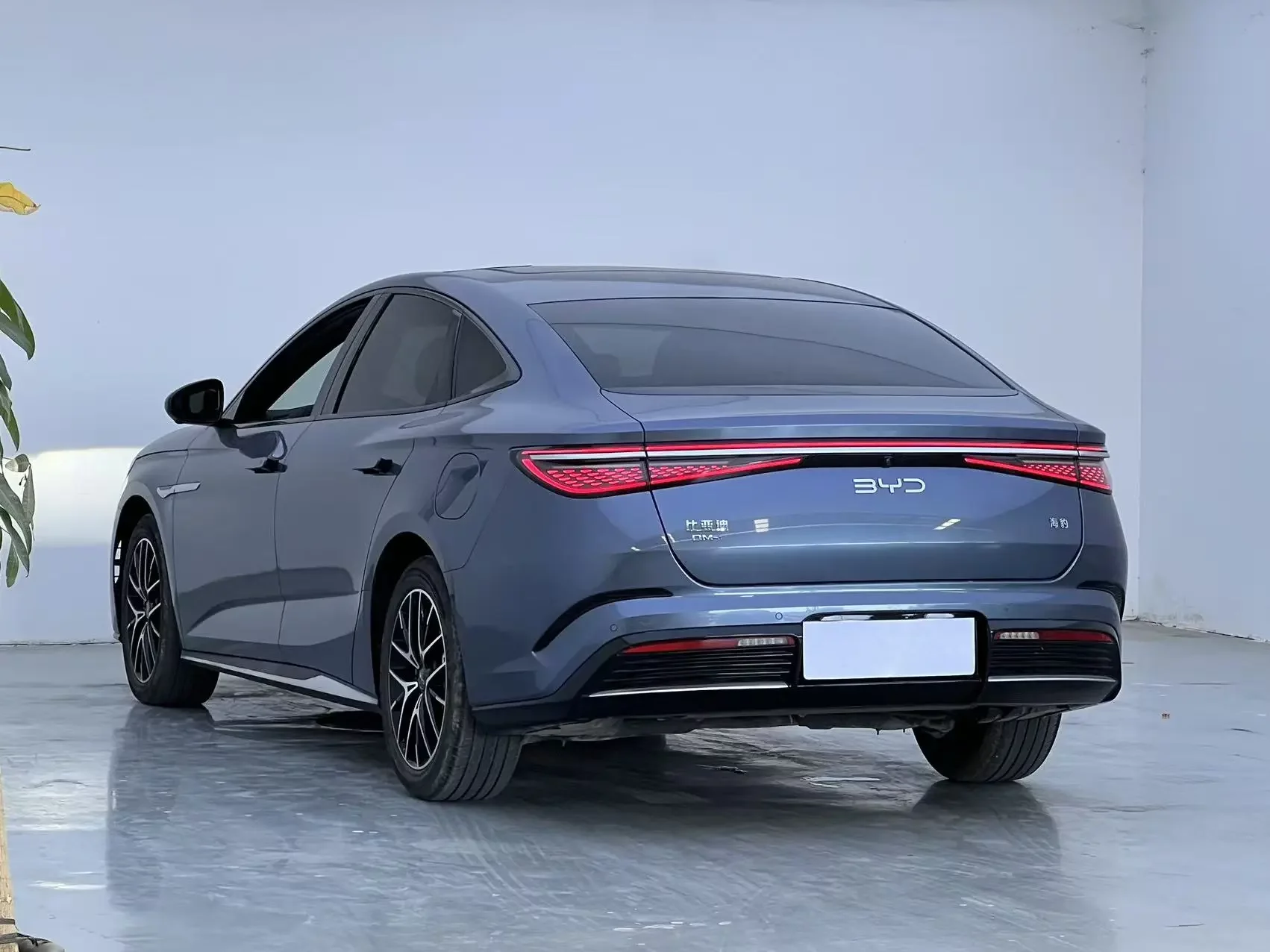 BYD Seal DM