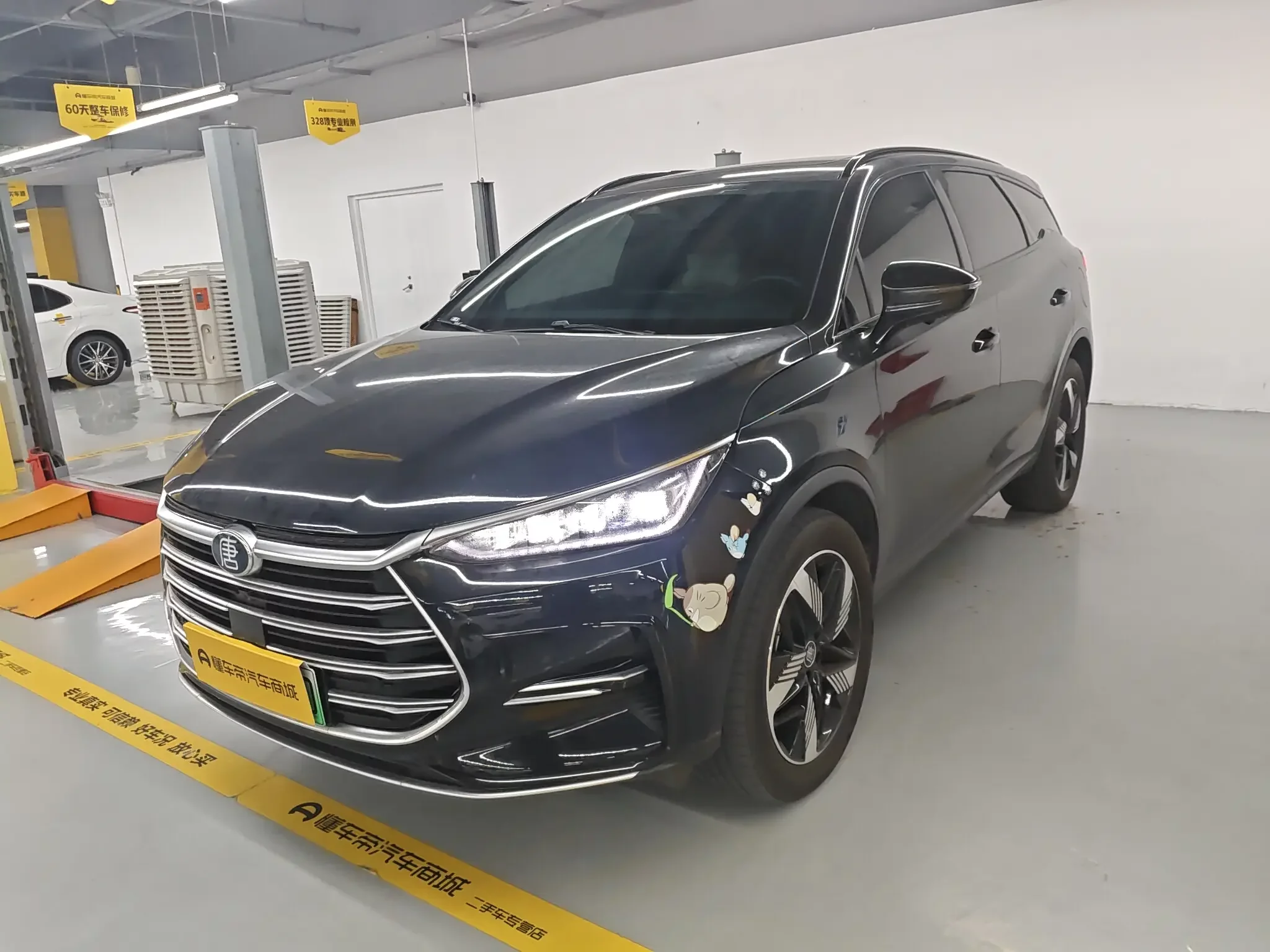 BYD Tang DM