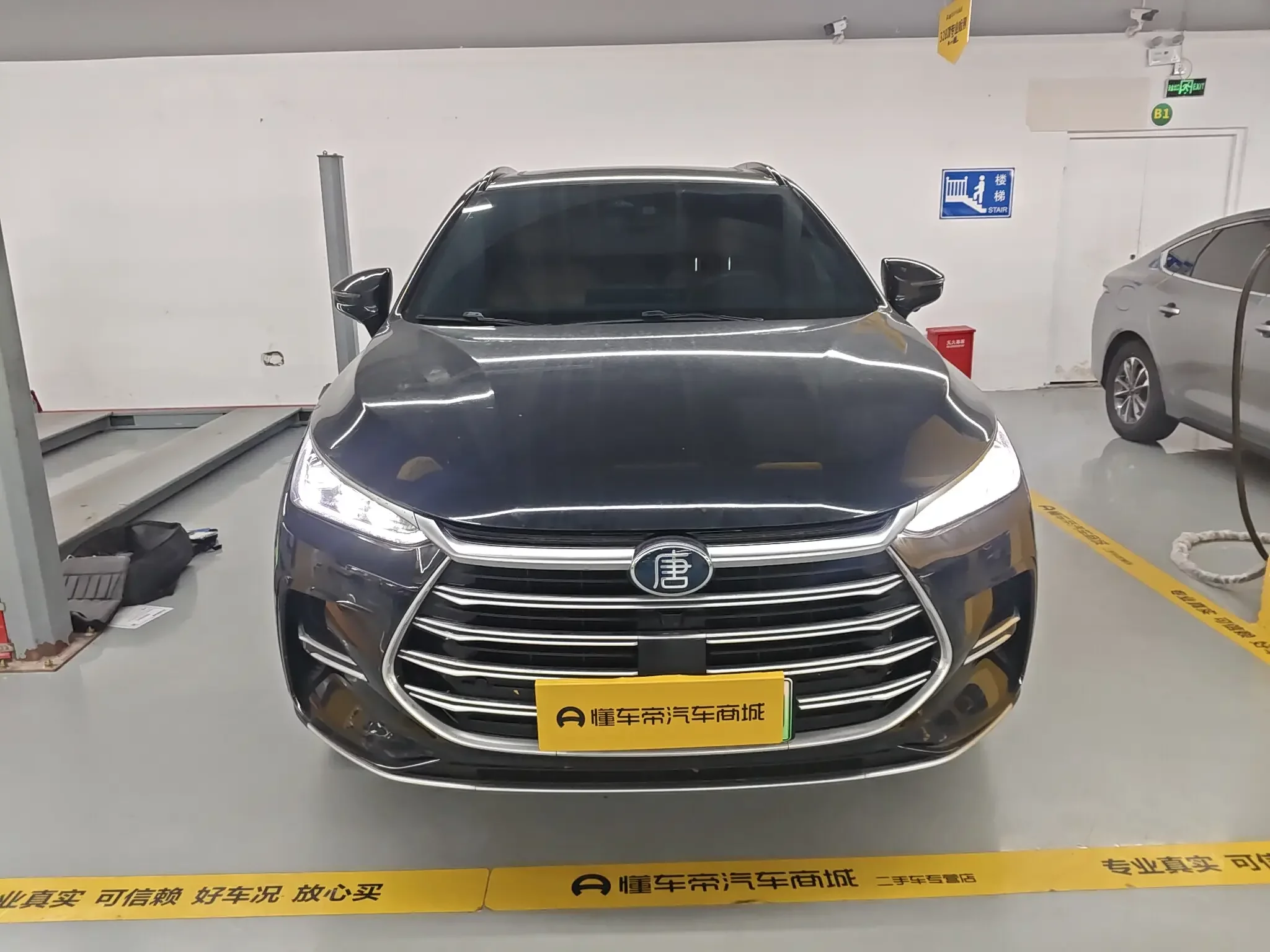 BYD Tang DM