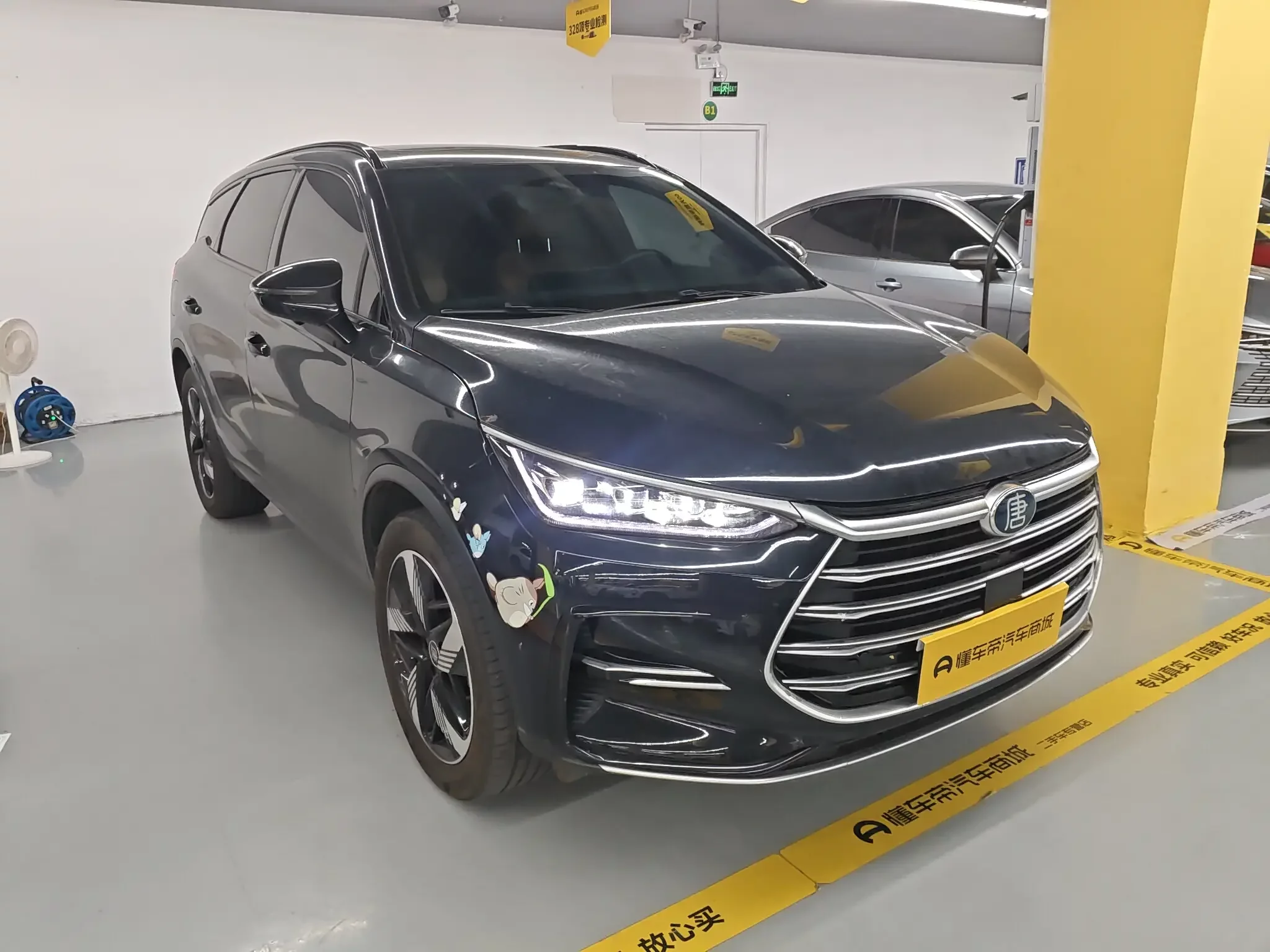 BYD Tang DM