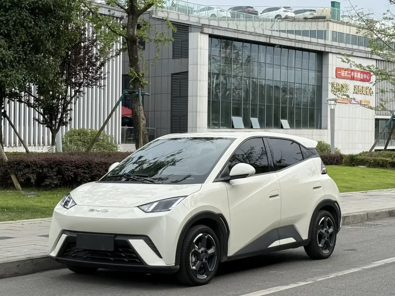 BYD seagull