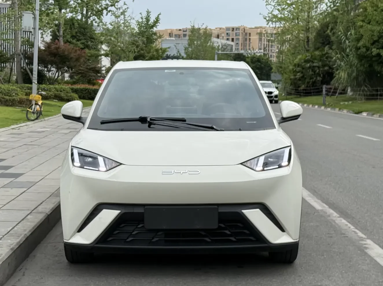 BYD seagull