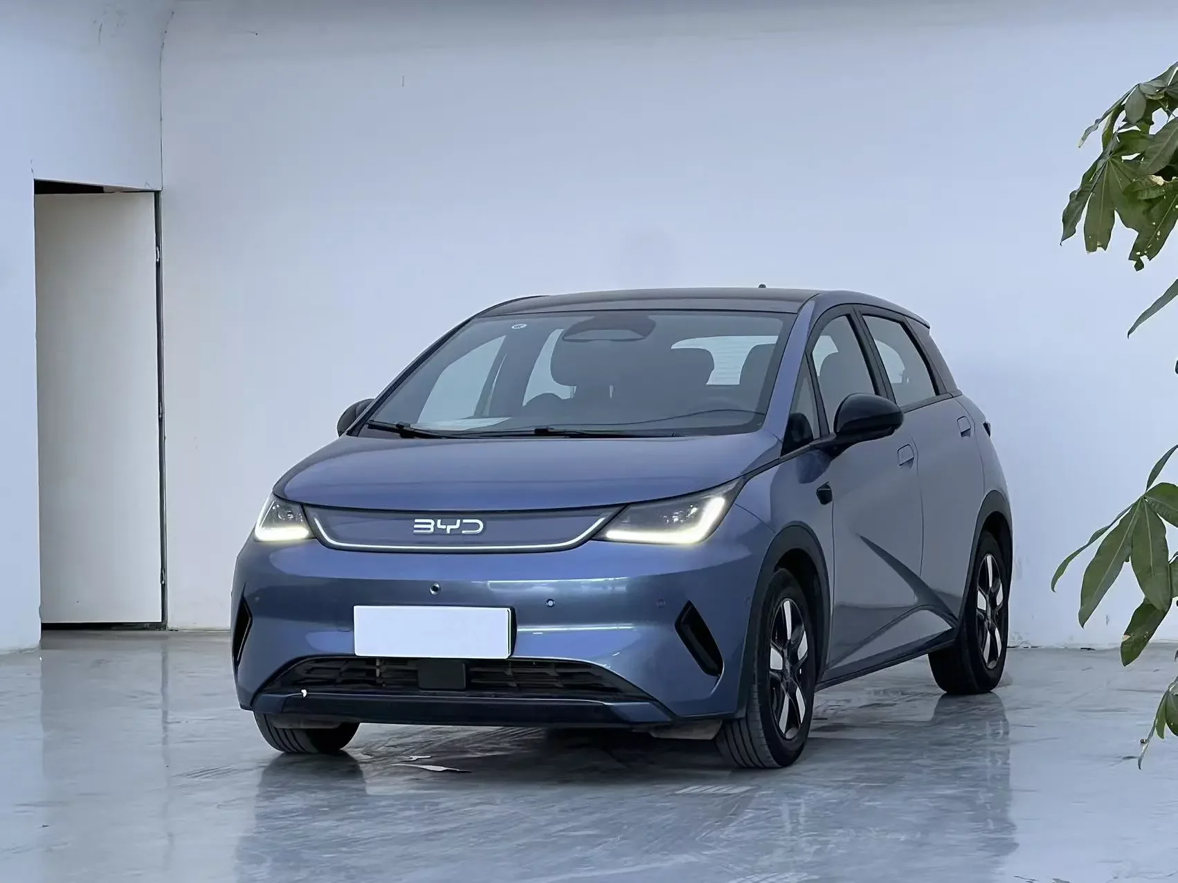 BYD dolphin
