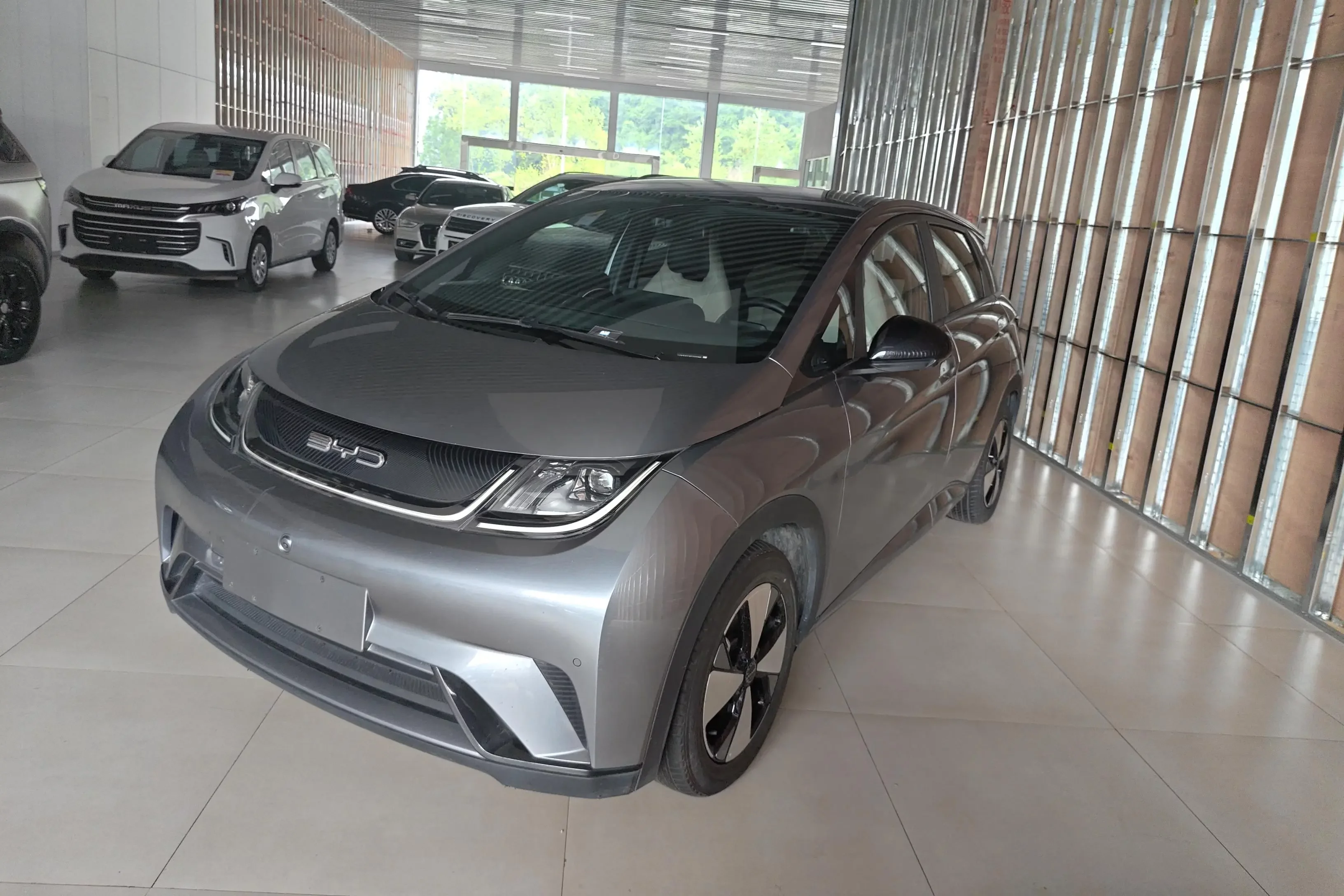 BYD dolphin
