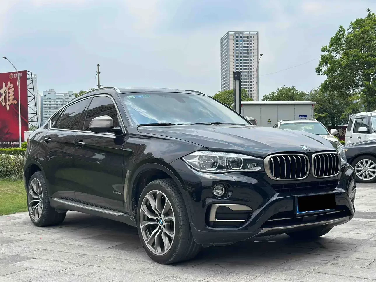 BMW X6