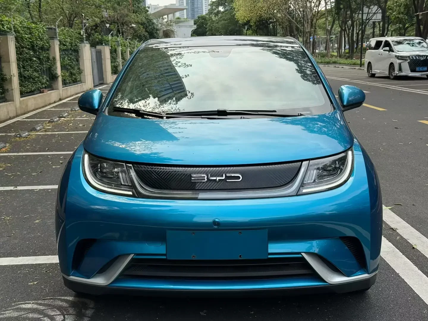 BYD dolphin