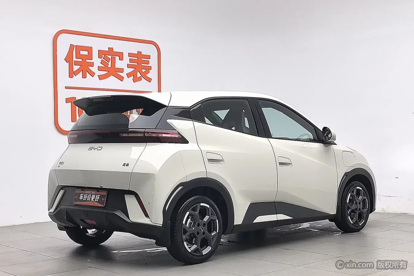 BYD seagull
