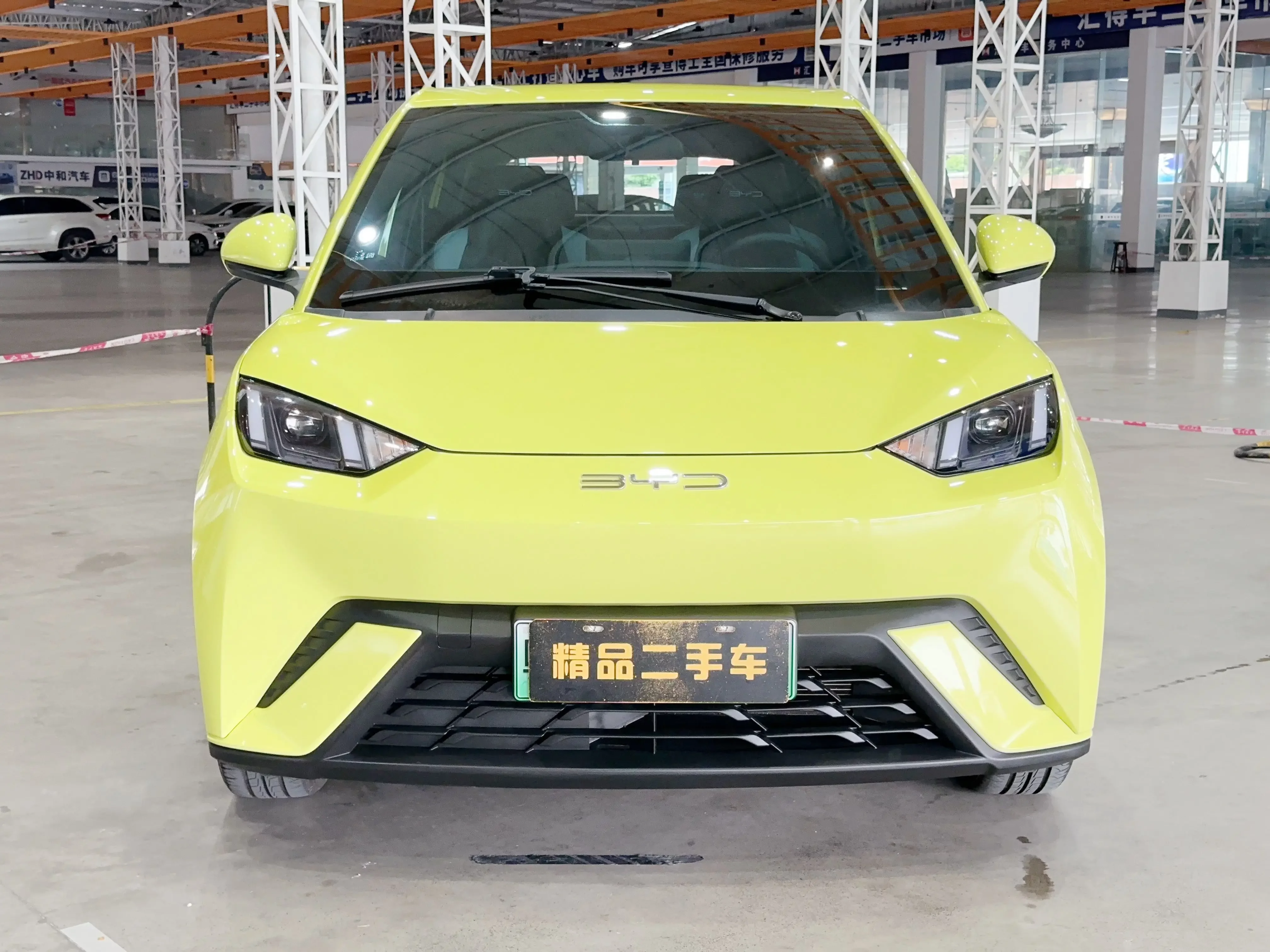 BYD seagull